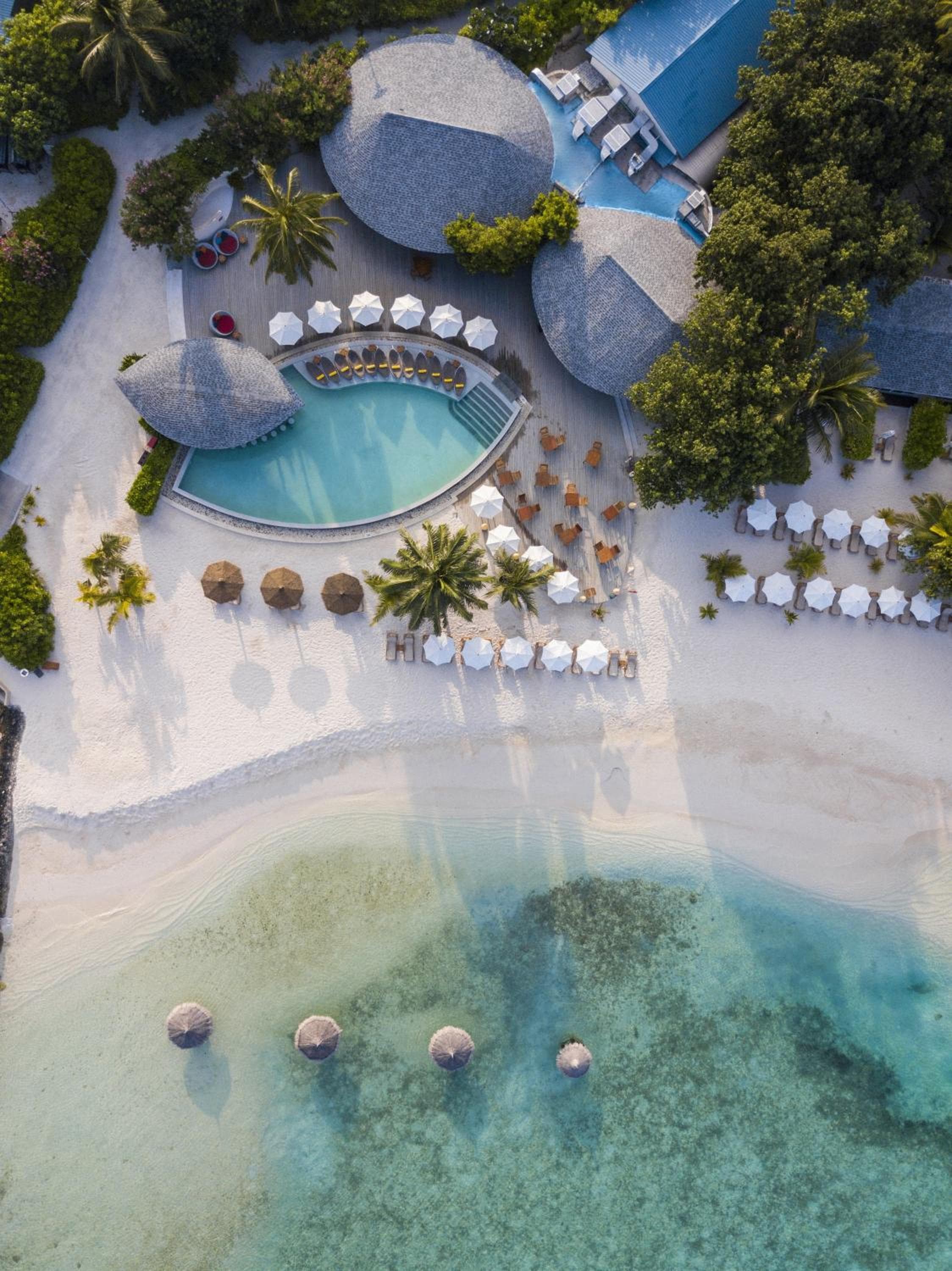 Centara Ras Fushi Resort & Spa Maldives - 50 percent discount on transfers for min 4 nights stay and more, valid for reservations between 11th Feb till 22  - View 71