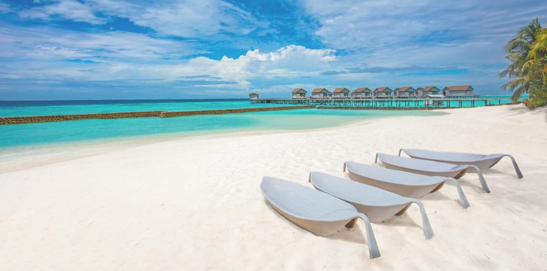 Centara Ras Fushi Resort & Spa Maldives - Stay 4 nights or more and enjoy 40 percent off Speedboat transfers, valid for stays from 6 Apr to 30 Sep 2026 - View 150