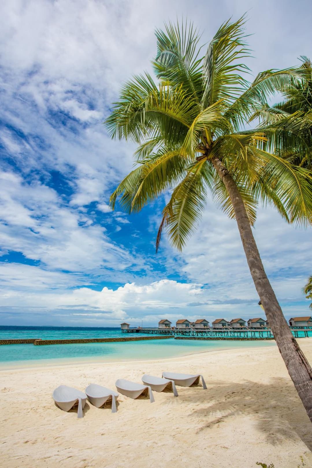 Centara Ras Fushi Resort & Spa Maldives - Stay 4 nights or more and enjoy 40 percent off Speedboat transfers, valid for stays from 6 Apr to 30 Sep 2026 - View 73