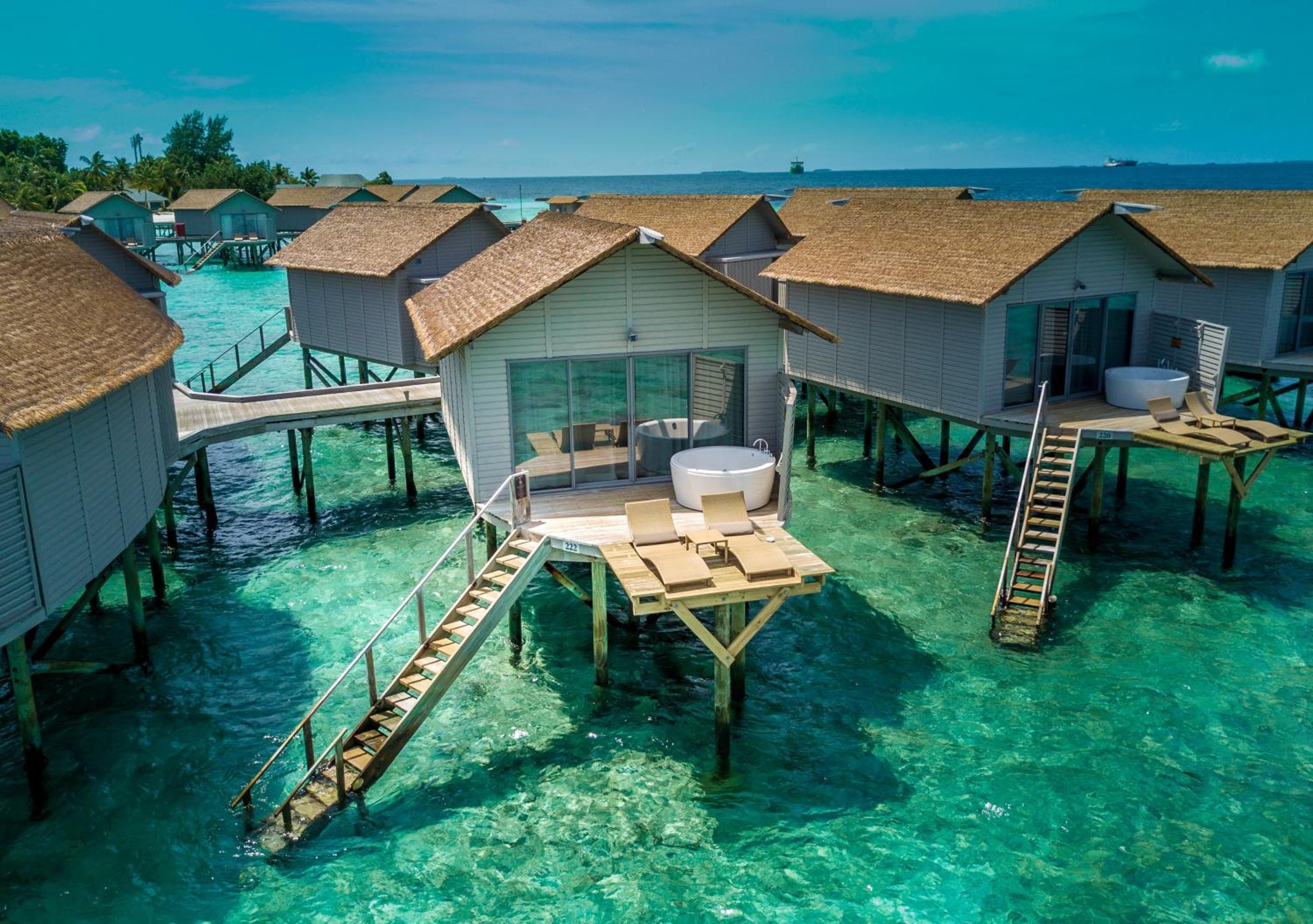 Centara Ras Fushi Resort & Spa Maldives - 50 percent discount on transfers for min 4 nights stay and more, valid for reservations between 11th Feb till 22  - View 79