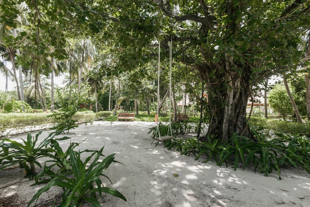 Reethi Faru Resort - Stay 5 Nights or More and Enjoy a Free Sunset Cruise - View 59