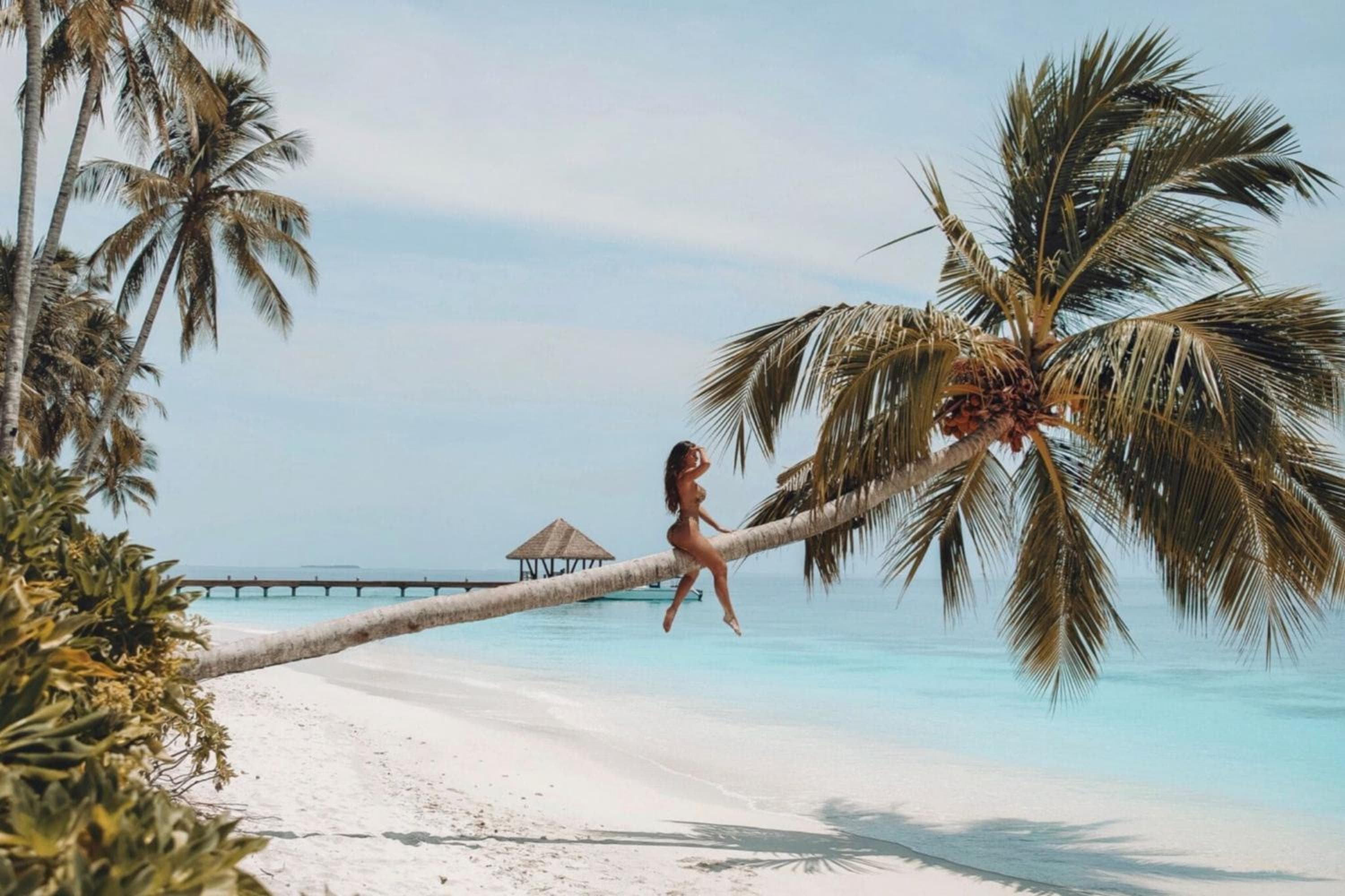 Reethi Faru Resort - View 33