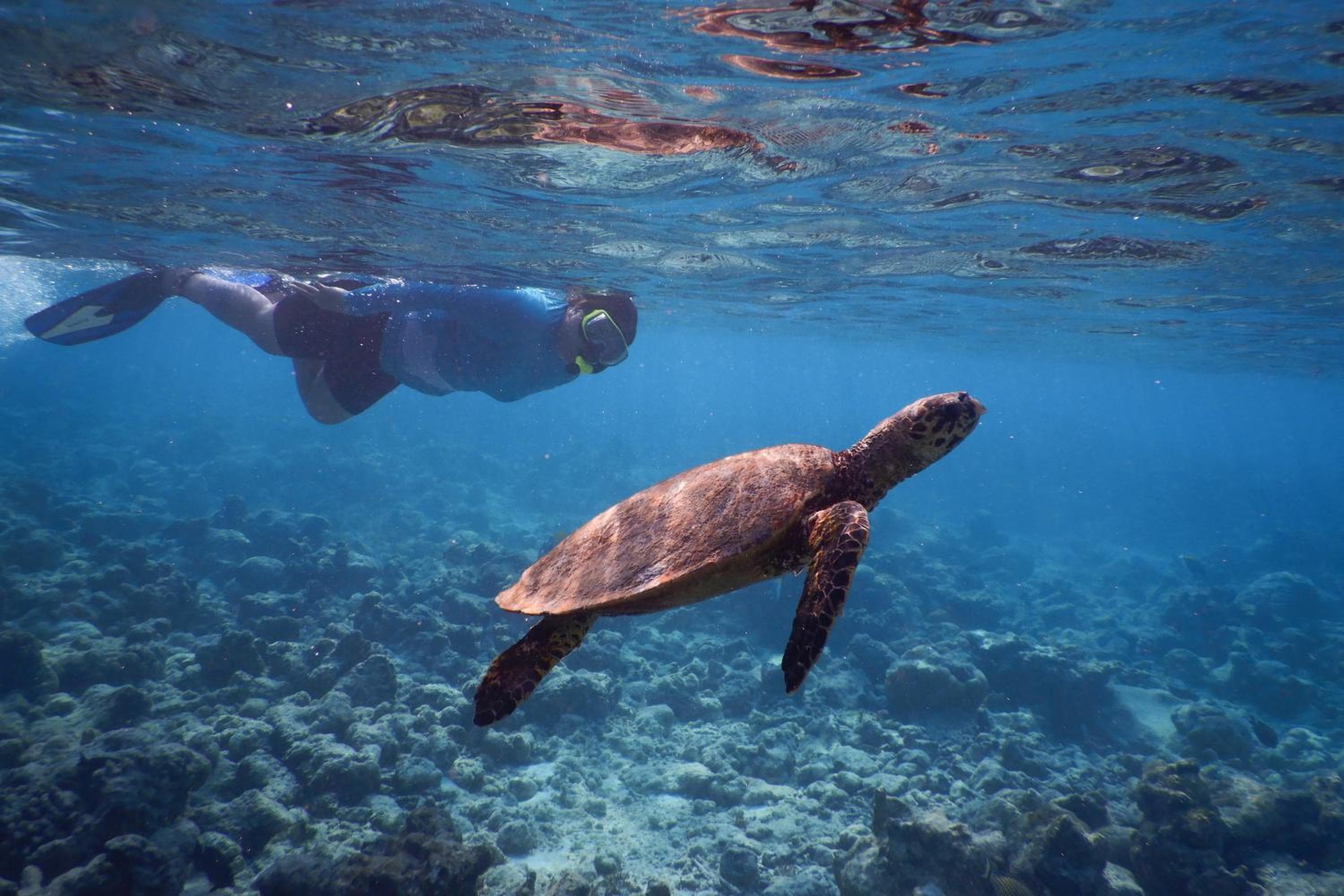 Reethi Faru Resort - View 31