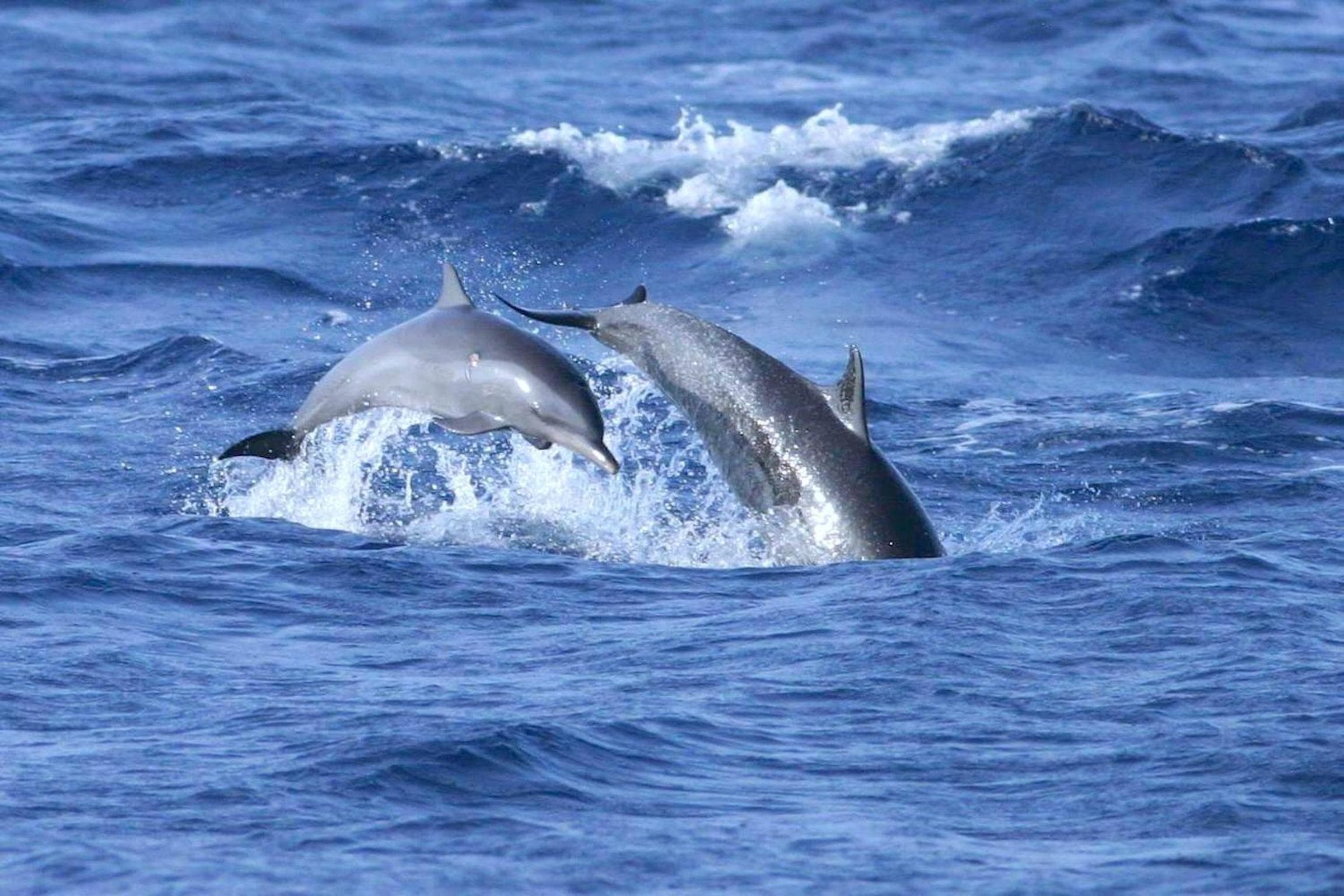 Kaani Beach Hotel - View 19