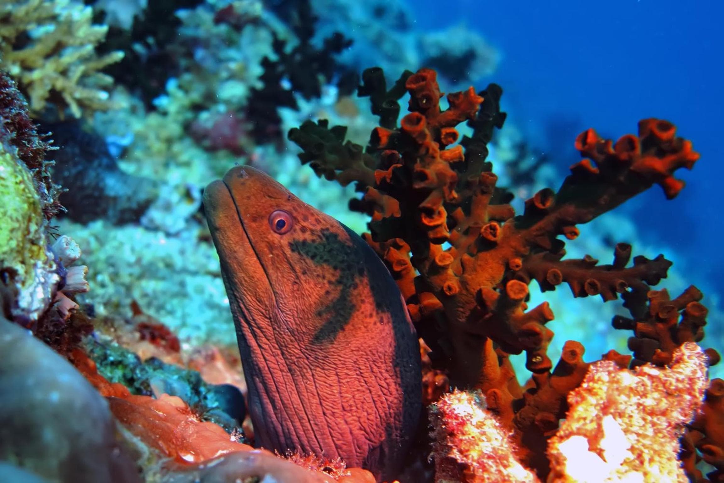 Kaani Beach Hotel - View 20