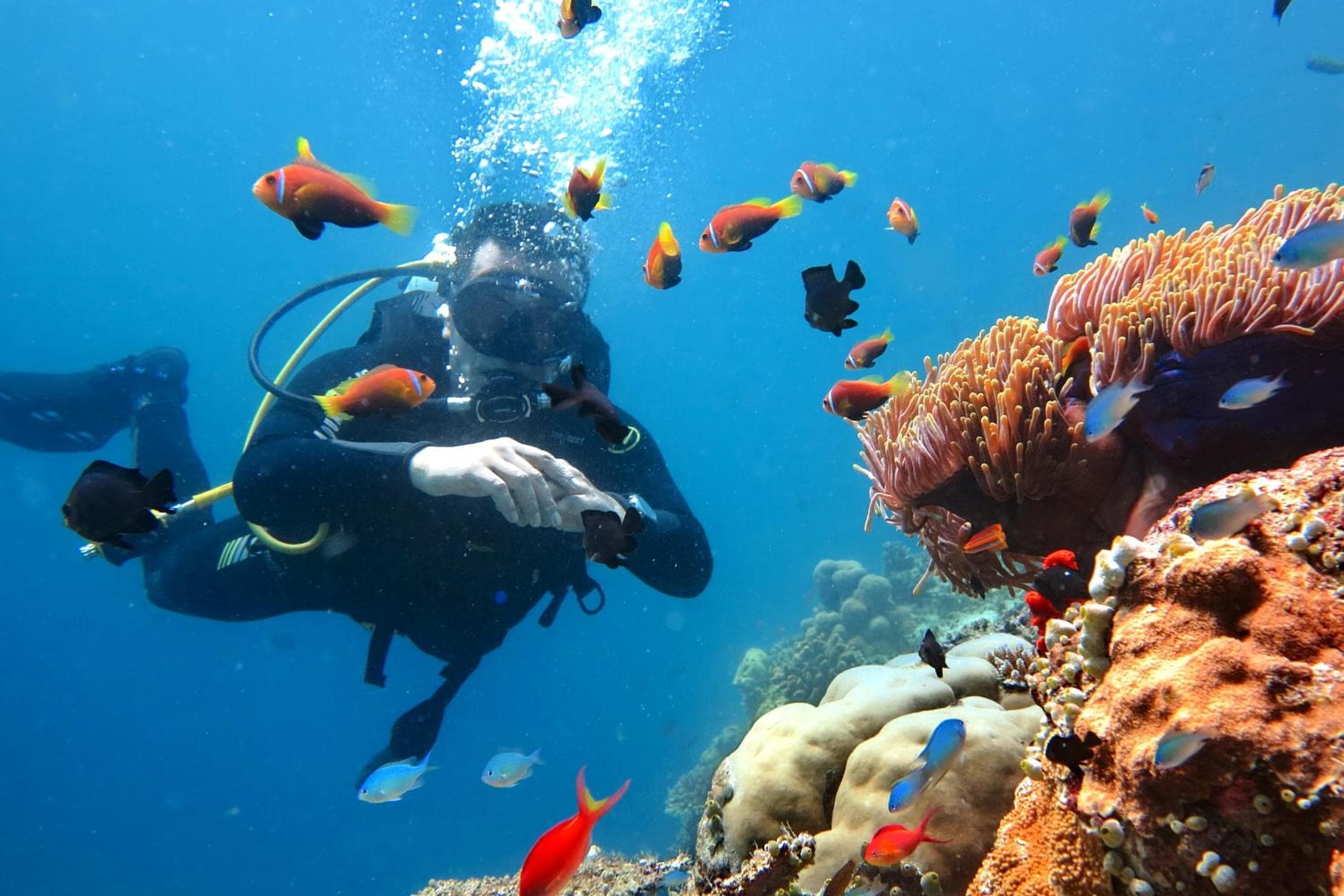 Kaani Beach Hotel - View 45