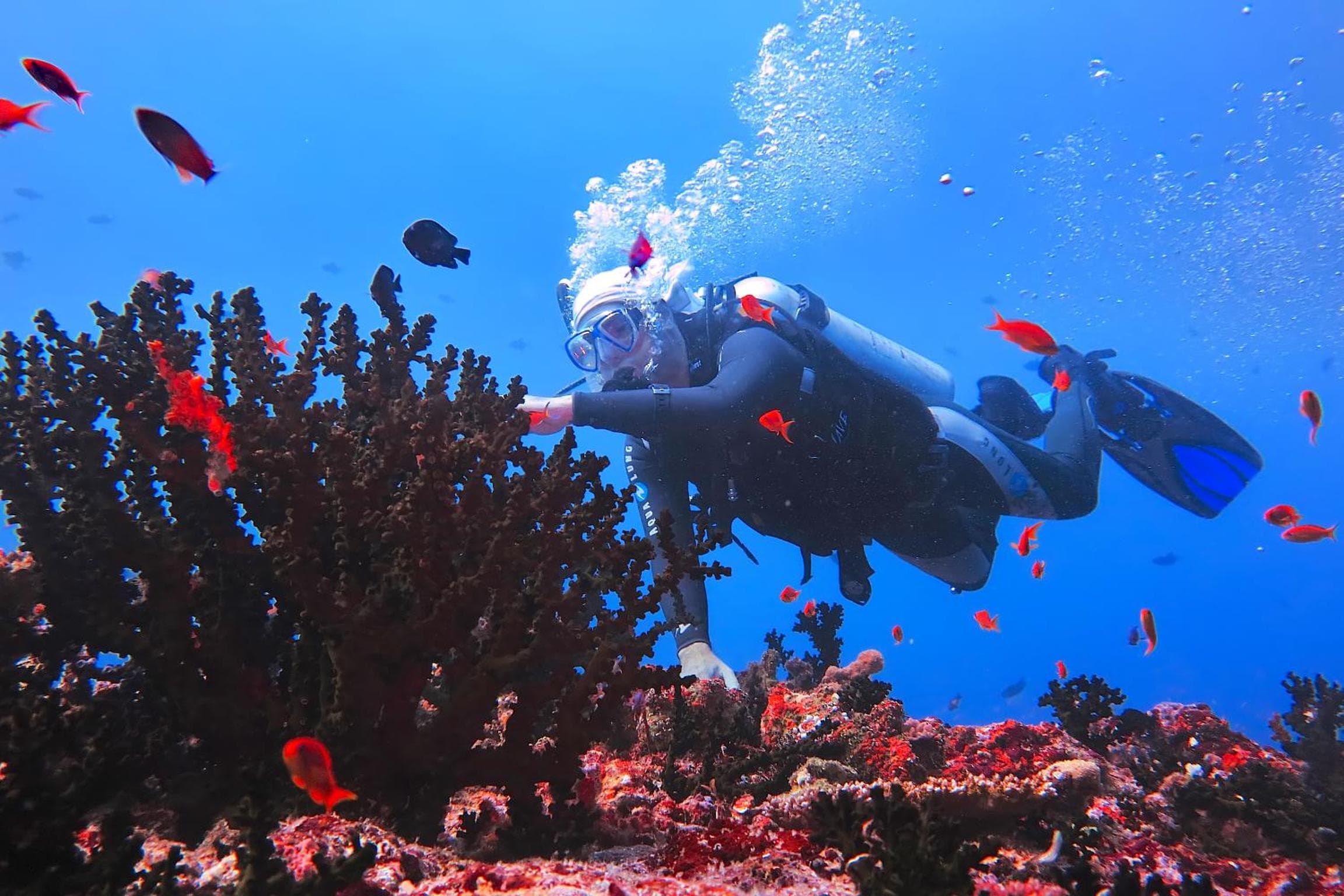 Kaani Beach Hotel - View 41