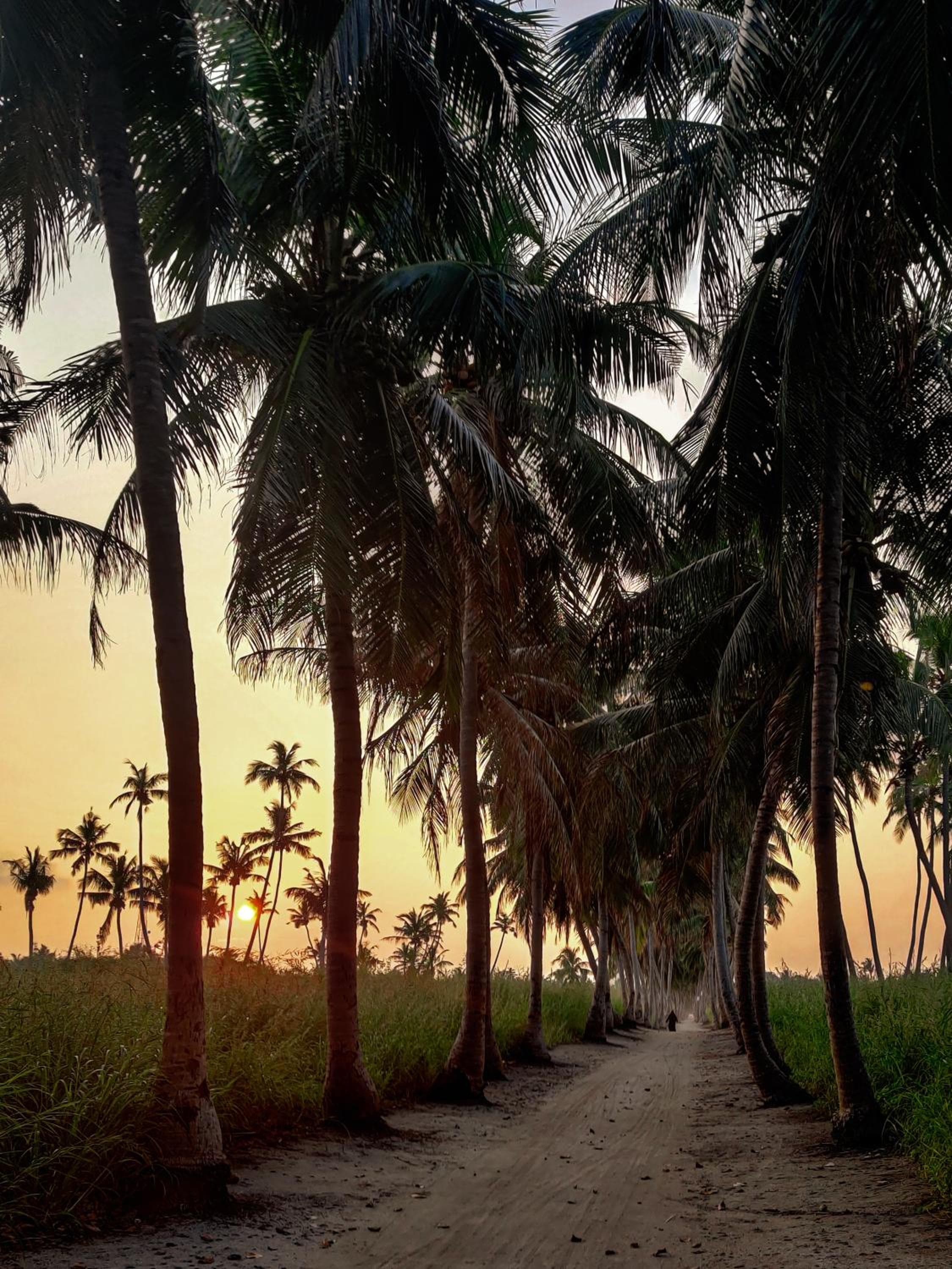 Alesara Guest House - View 56