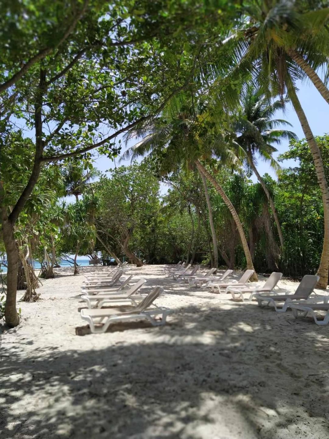 Acqua Blu Rasdhoo - View 86