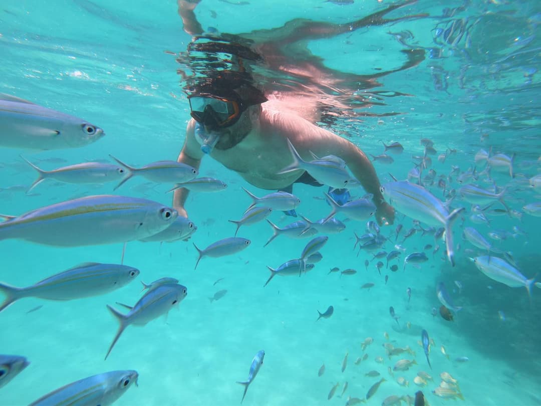 Acqua Blu Rasdhoo - View 10