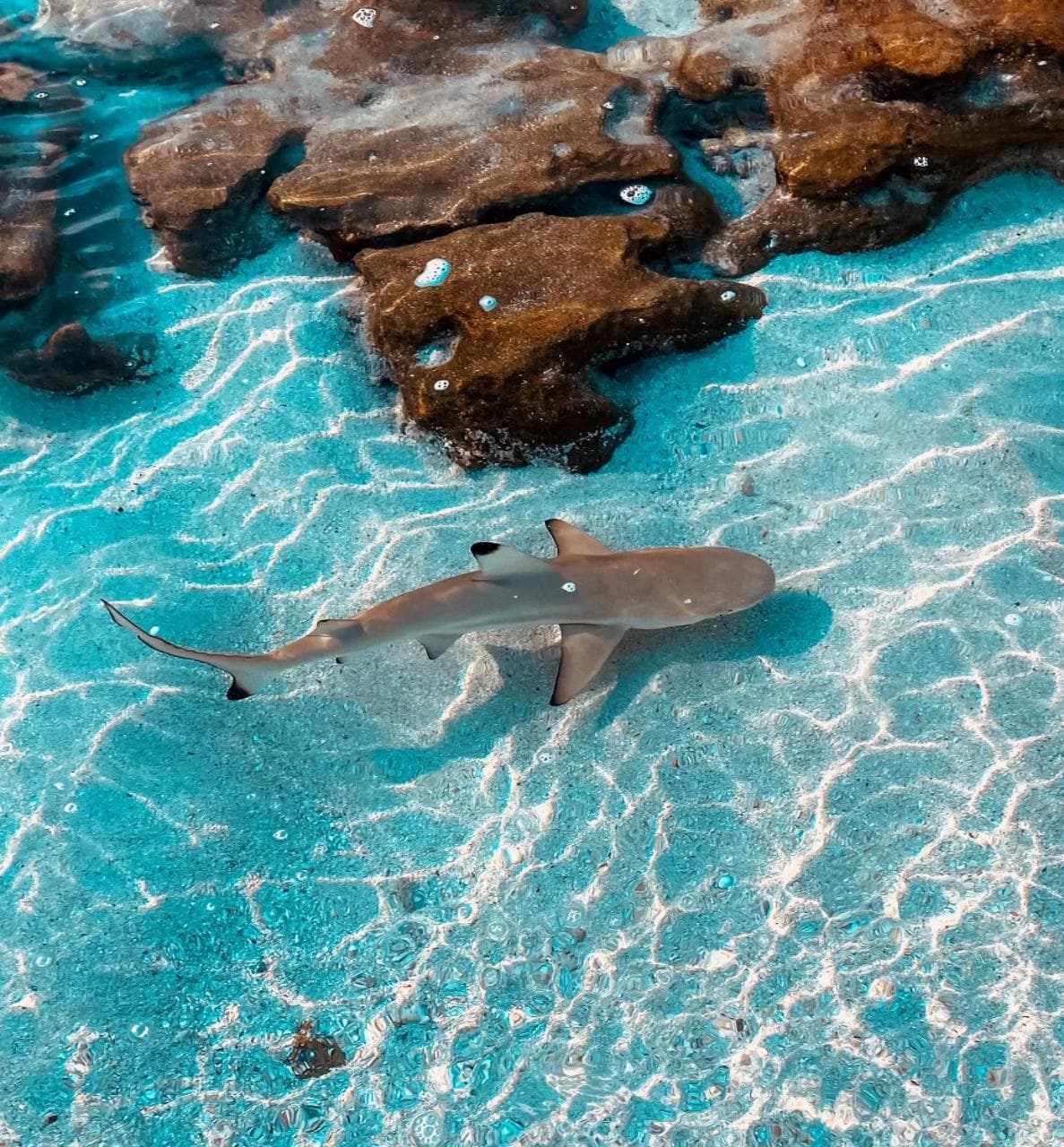 Crown Beach Villas -Private Beach - View 12