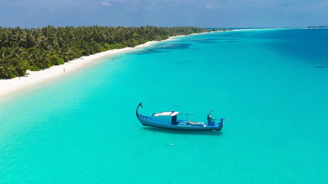 Dhiguveli Maldives - View 50