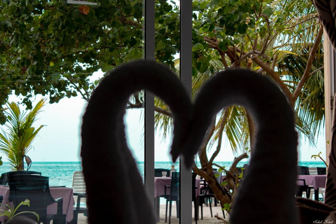 Crown Beach Villas -Private Beach - View 16