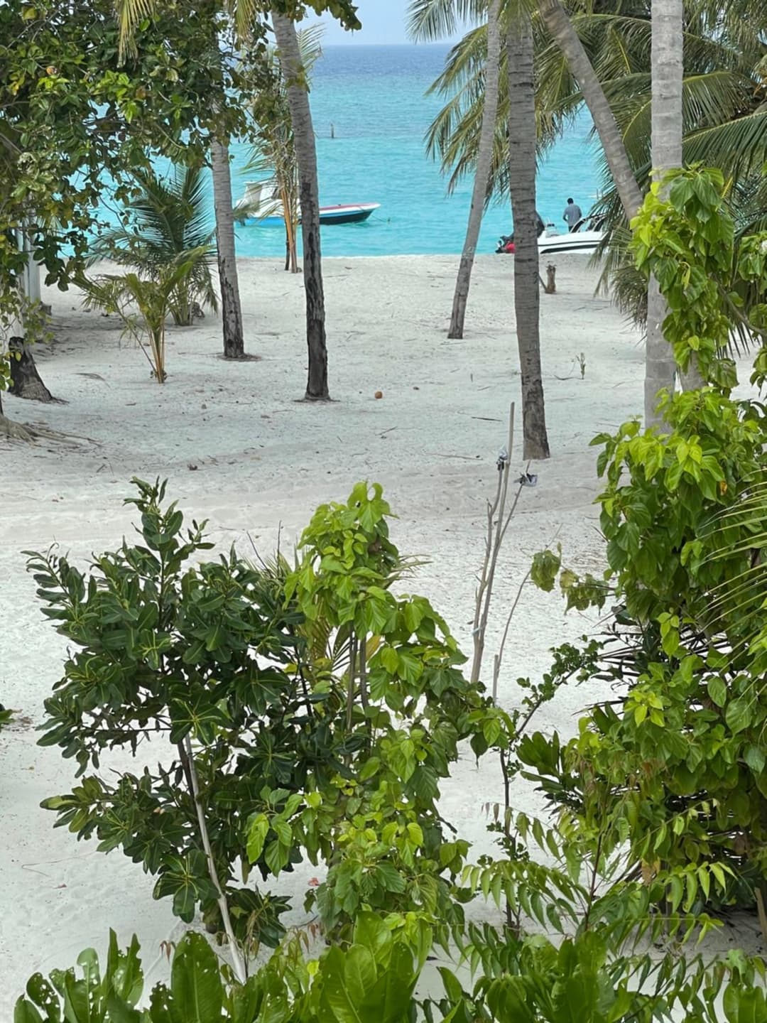 Viluveli Holiday Retreat - View 43