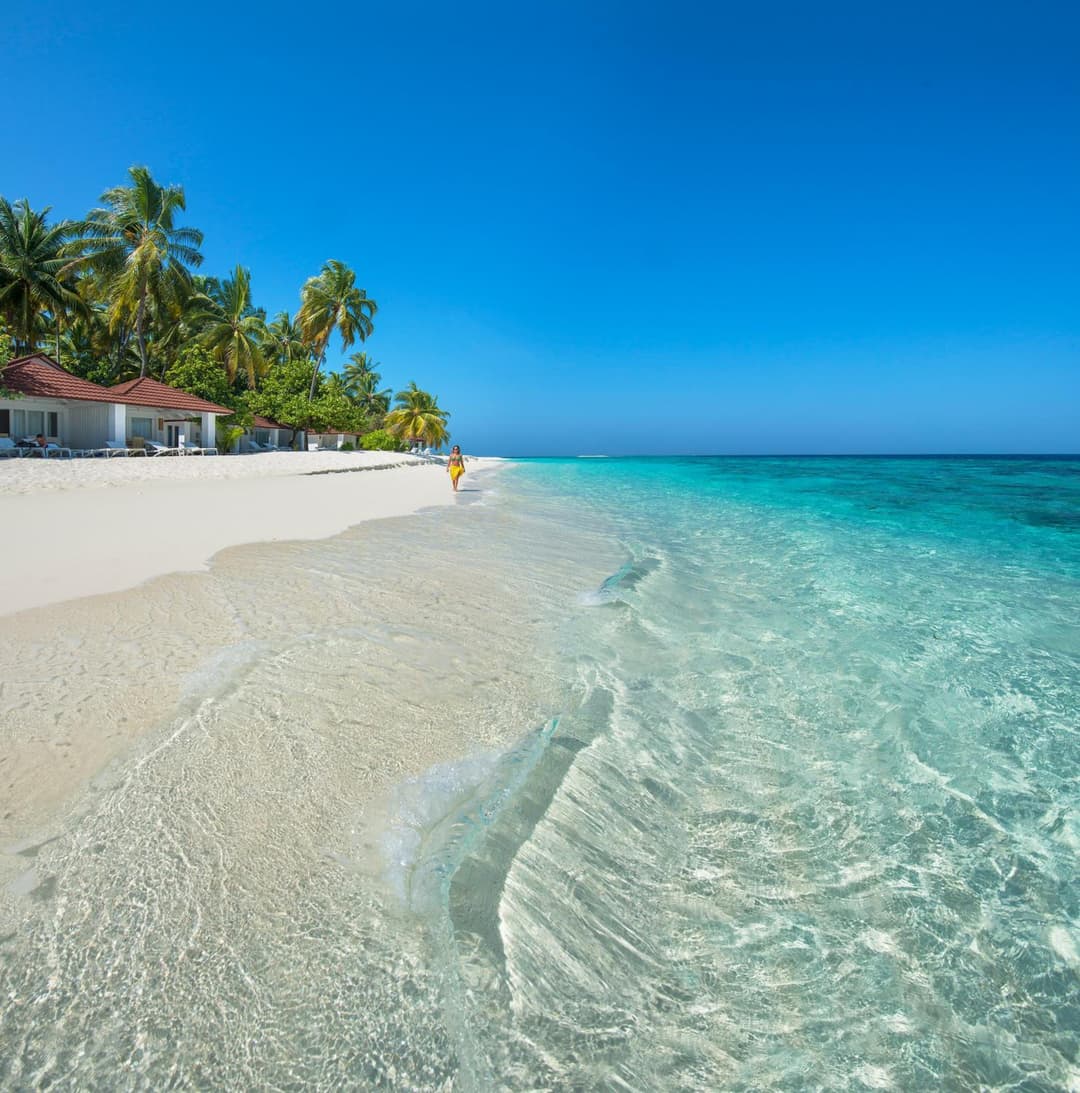 Diamonds Thudufushi Maldives Resort & Spa - View 3
