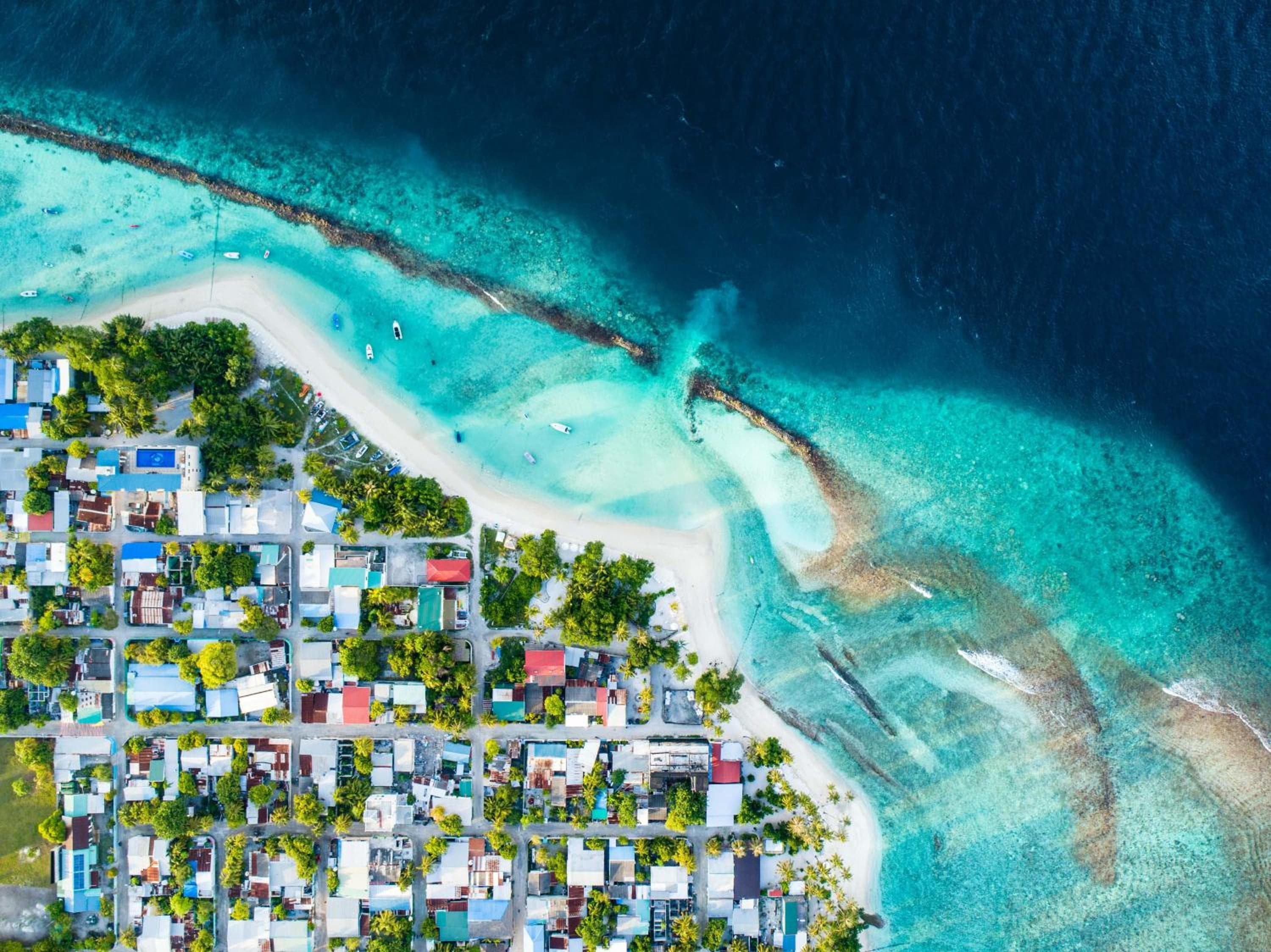 Season Paradise - View 60