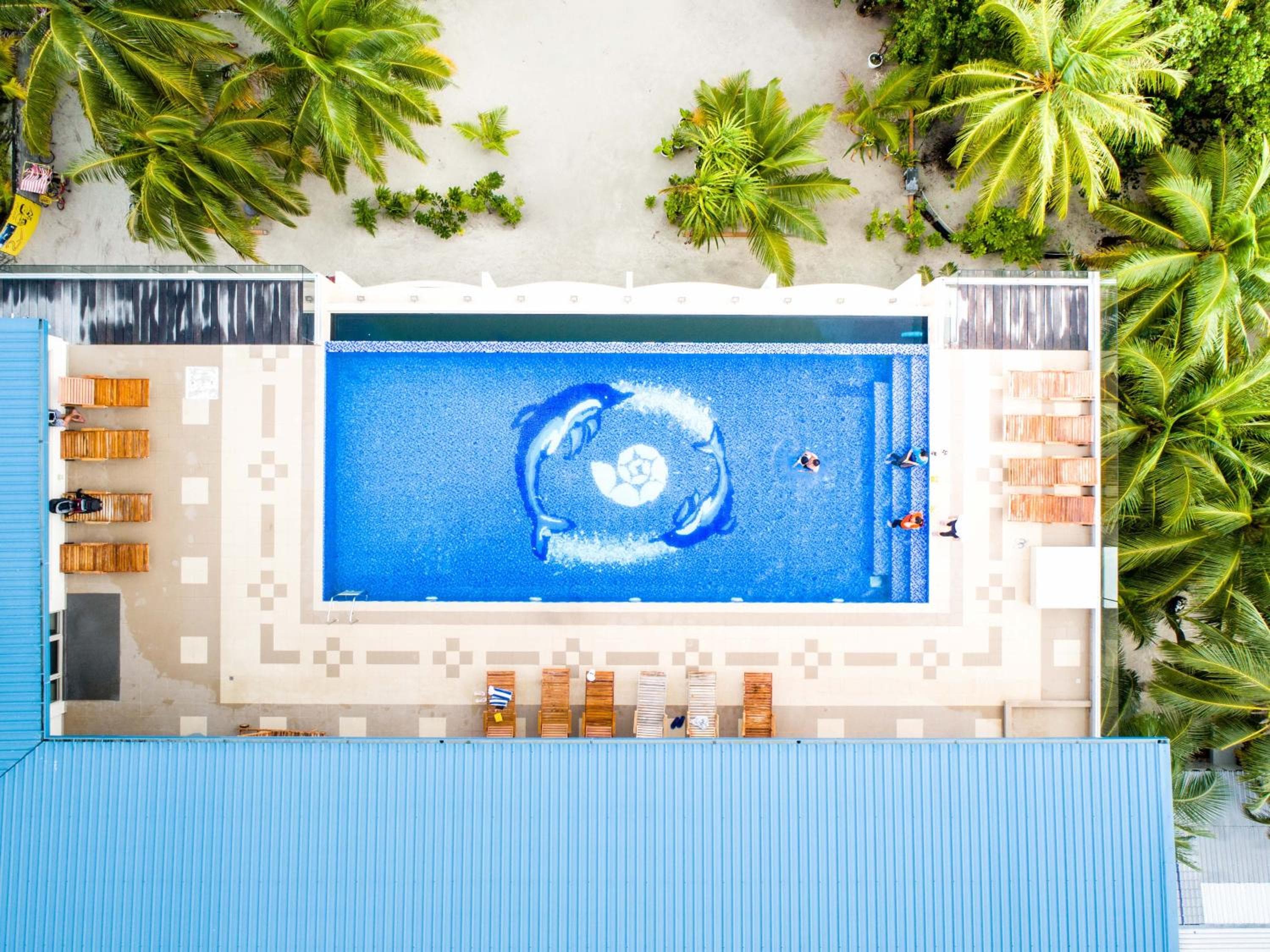 Season Paradise - View 62