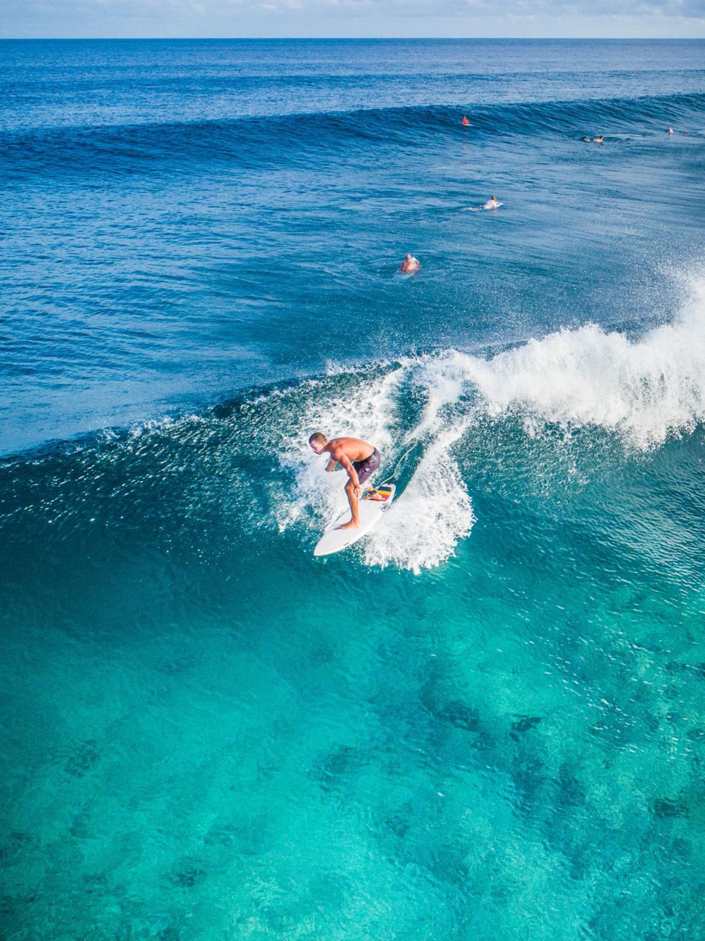 Season Paradise - View 38