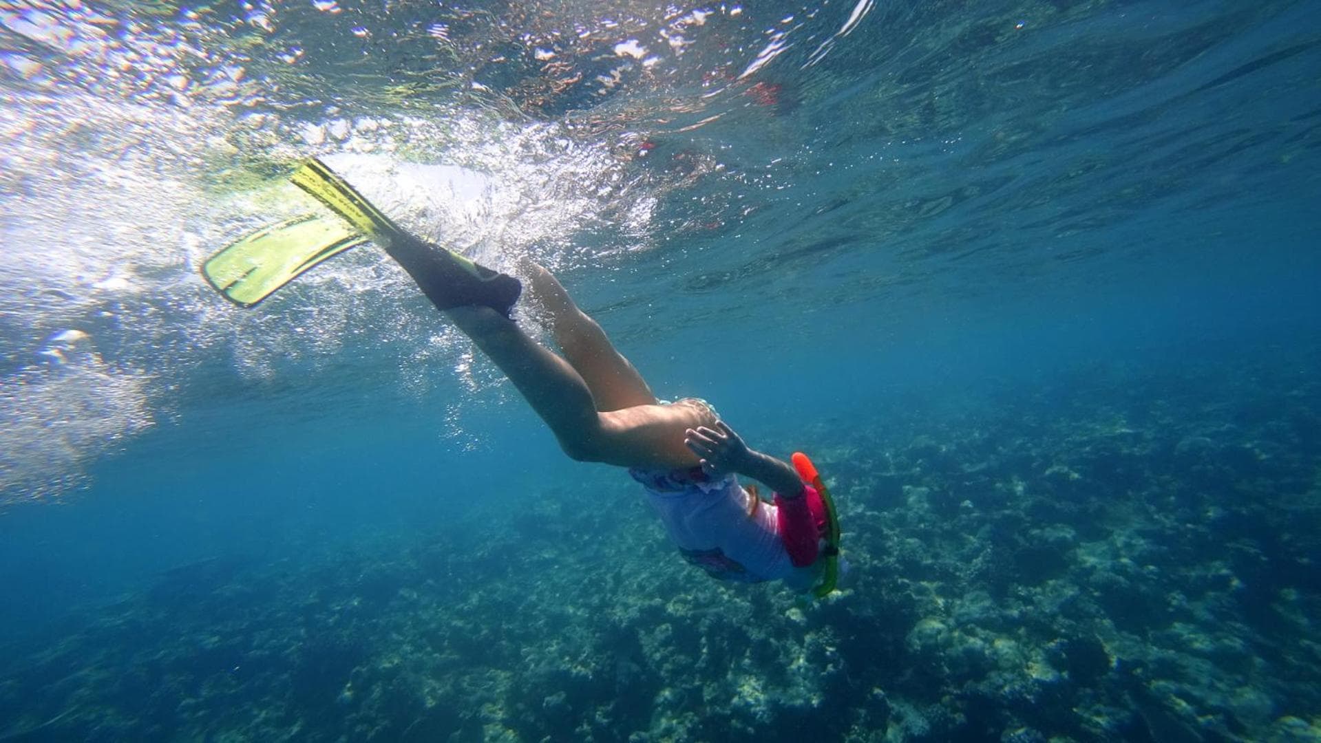 Season Paradise - View 67