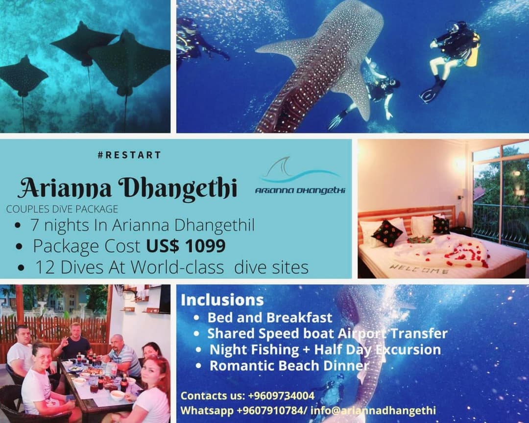 Arianna Dhangethi - View 7