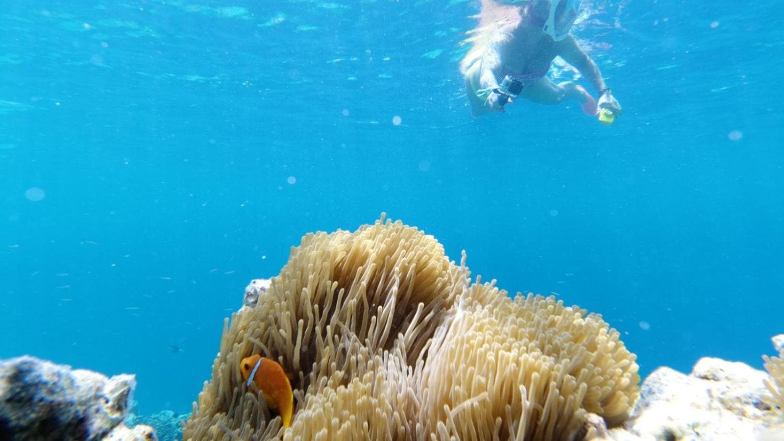 Dravida Hotel - View 65