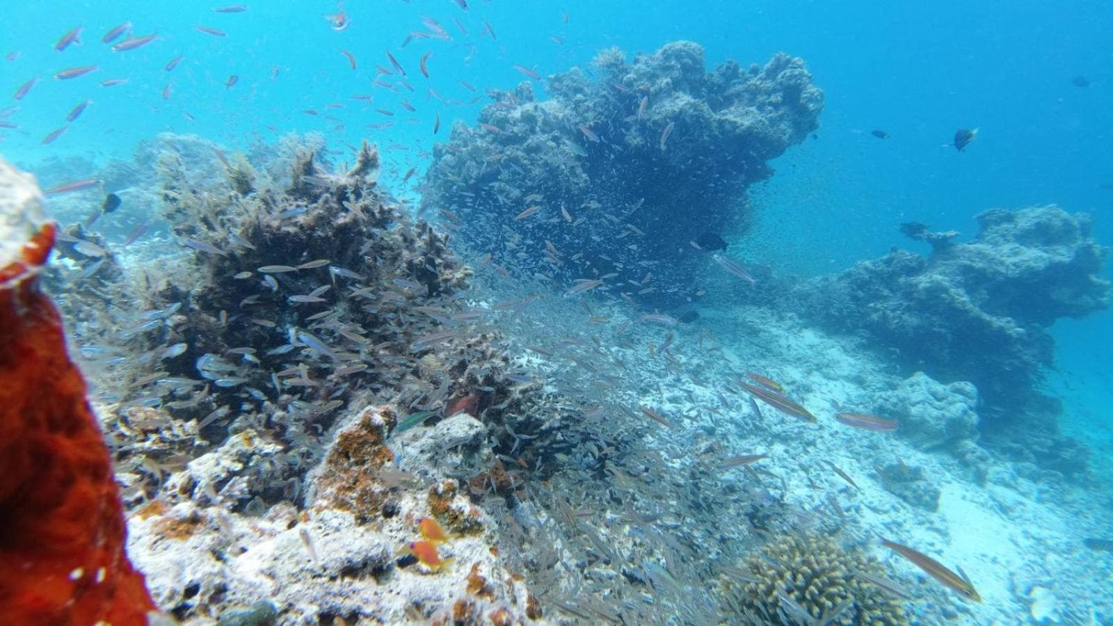 Dravida Hotel - View 63