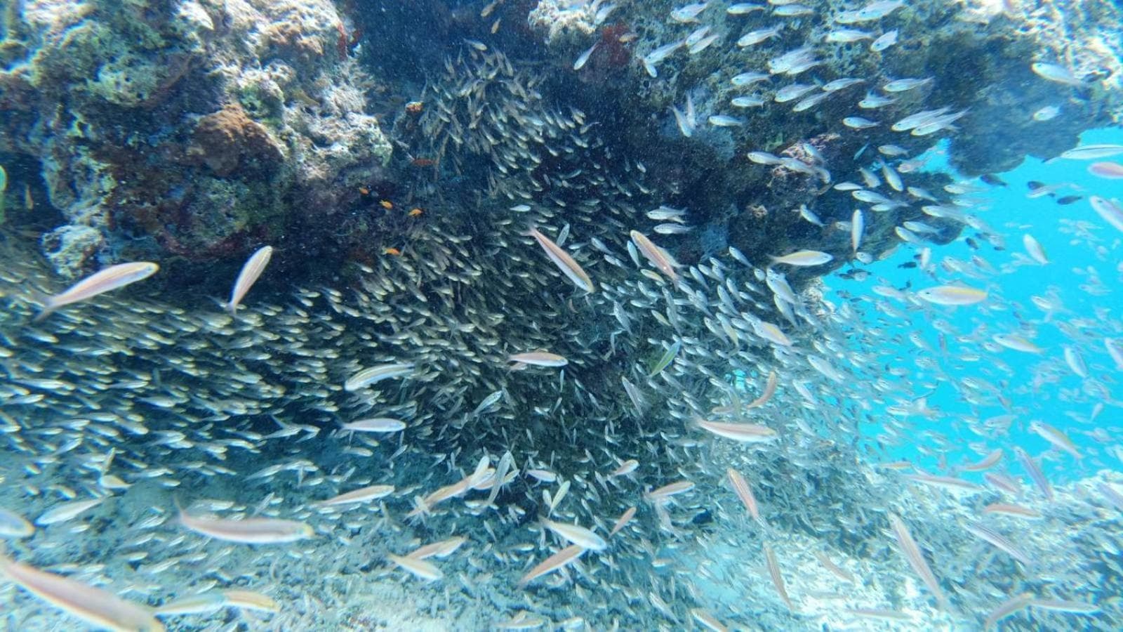 Dravida Hotel - View 76