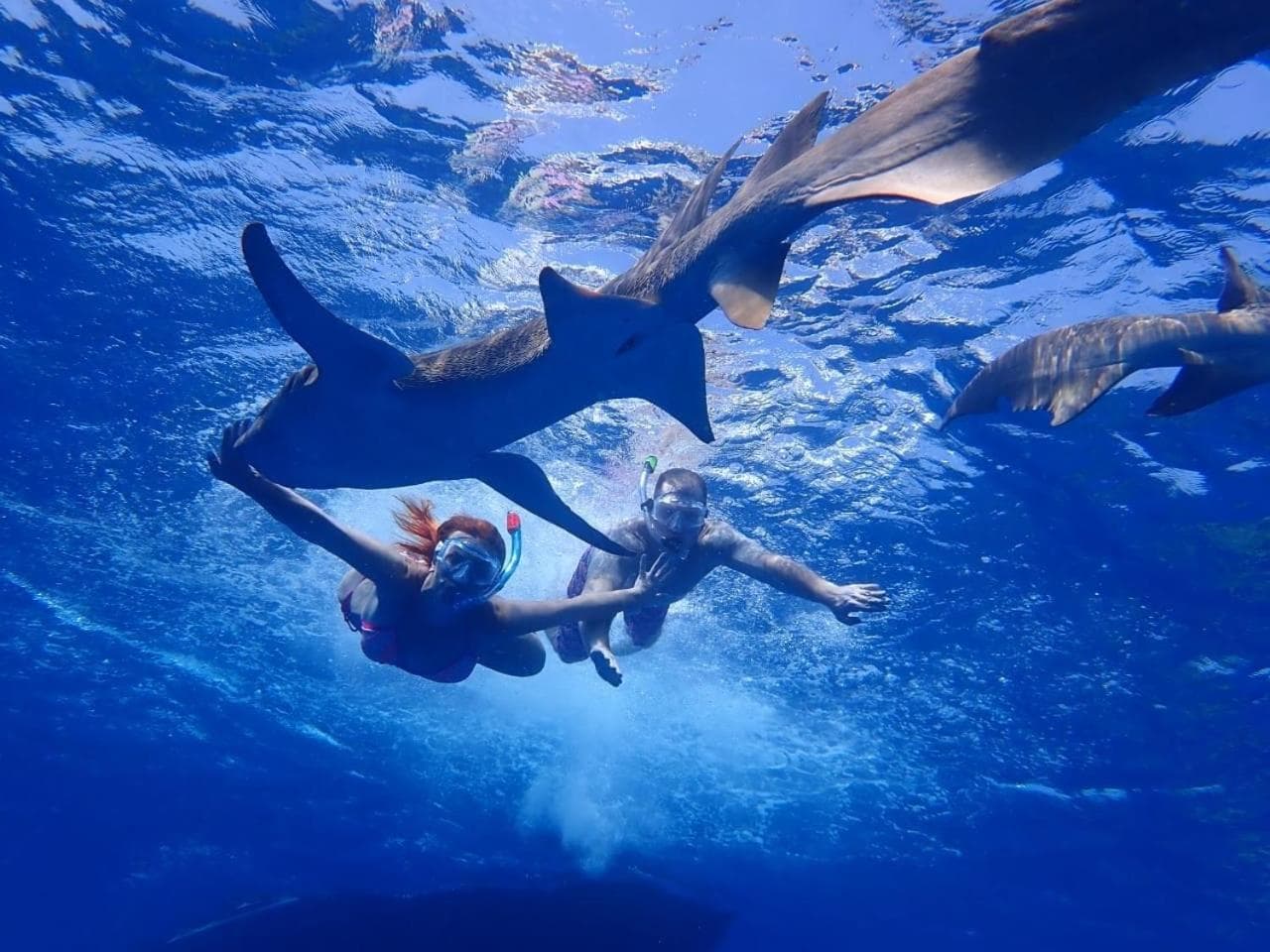 Athens View Hotel - View 34