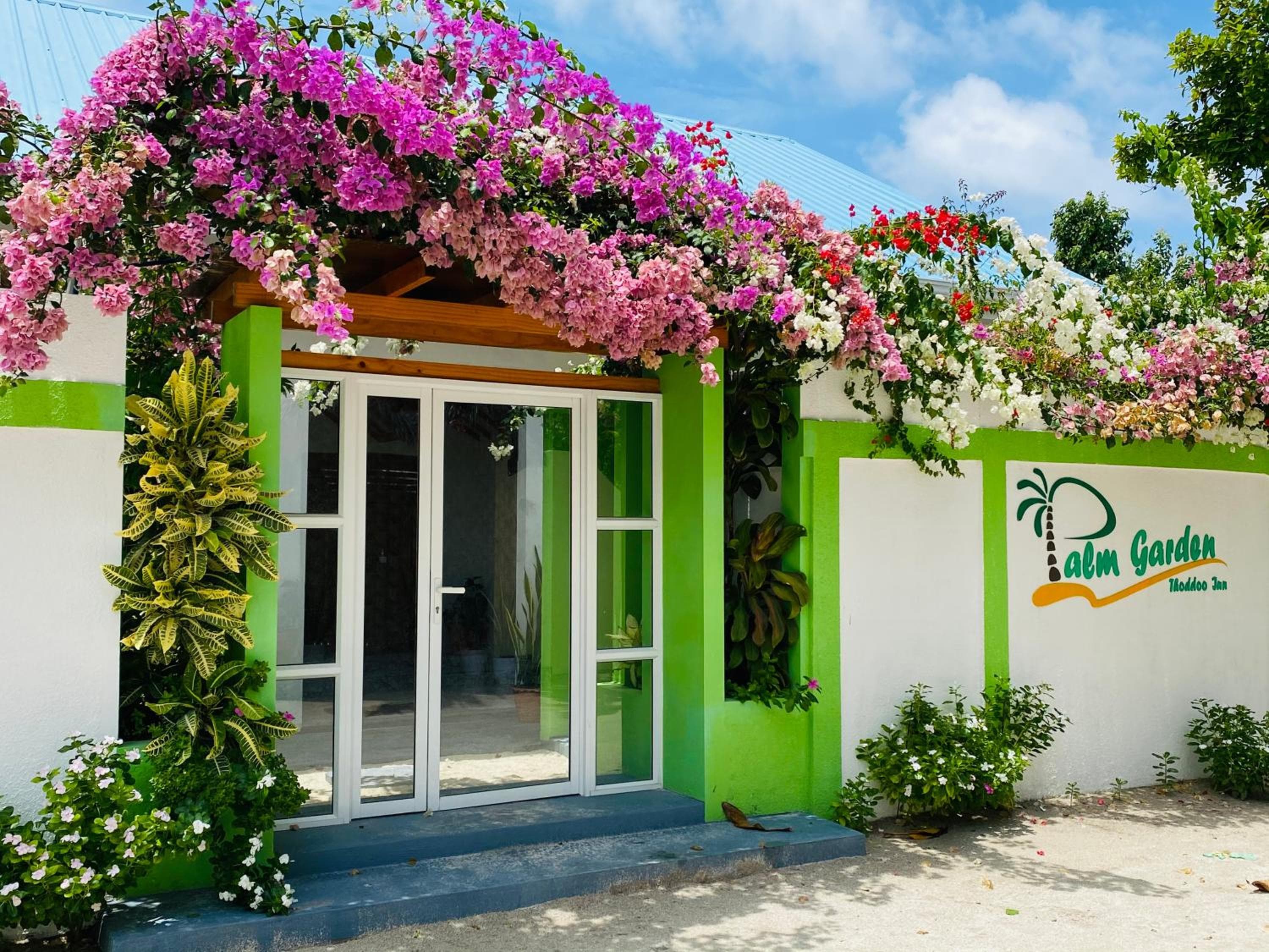 Palm Garden - View 1