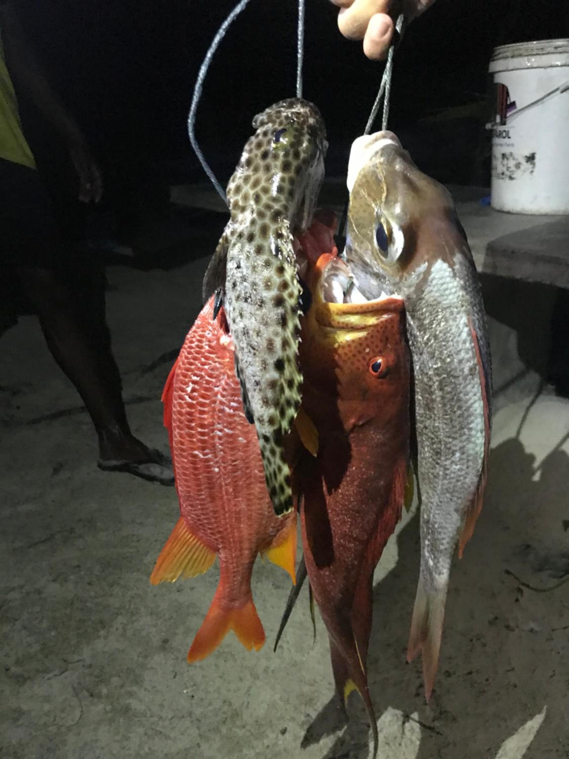 Athiriveli - View 47