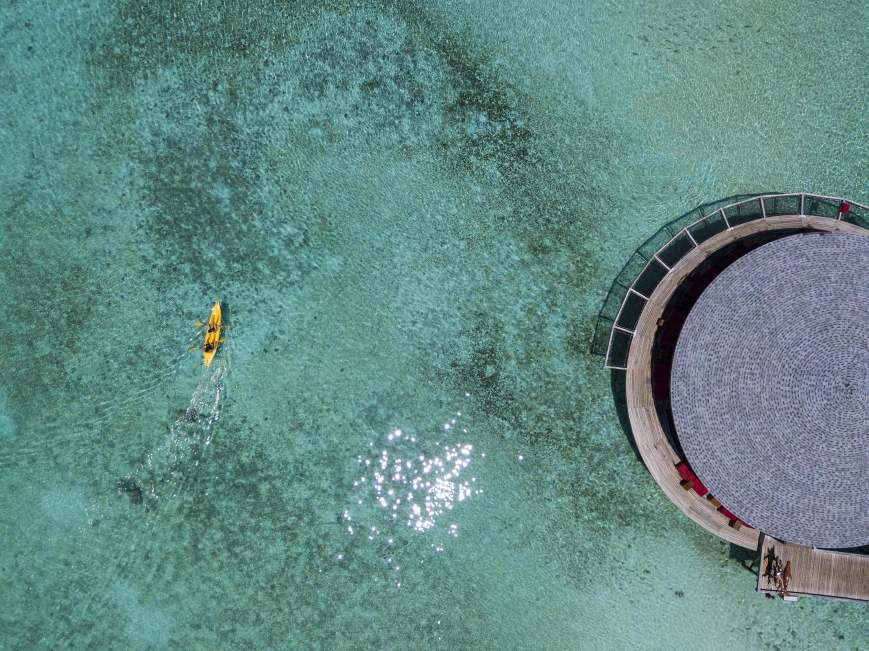 Centara Ras Fushi Resort & Spa Maldives - 50 percent discount on transfers for min 4 nights stay and more, valid for reservations between 11th Feb till 22  - View 178