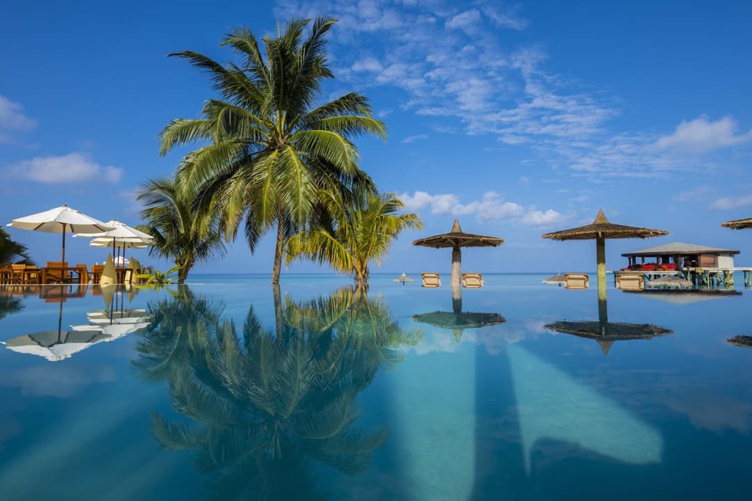 Centara Ras Fushi Resort & Spa Maldives - Stay 4 nights or more and enjoy 40 percent off Speedboat transfers, valid for stays from 6 Apr to 30 Sep 2026 - View 79