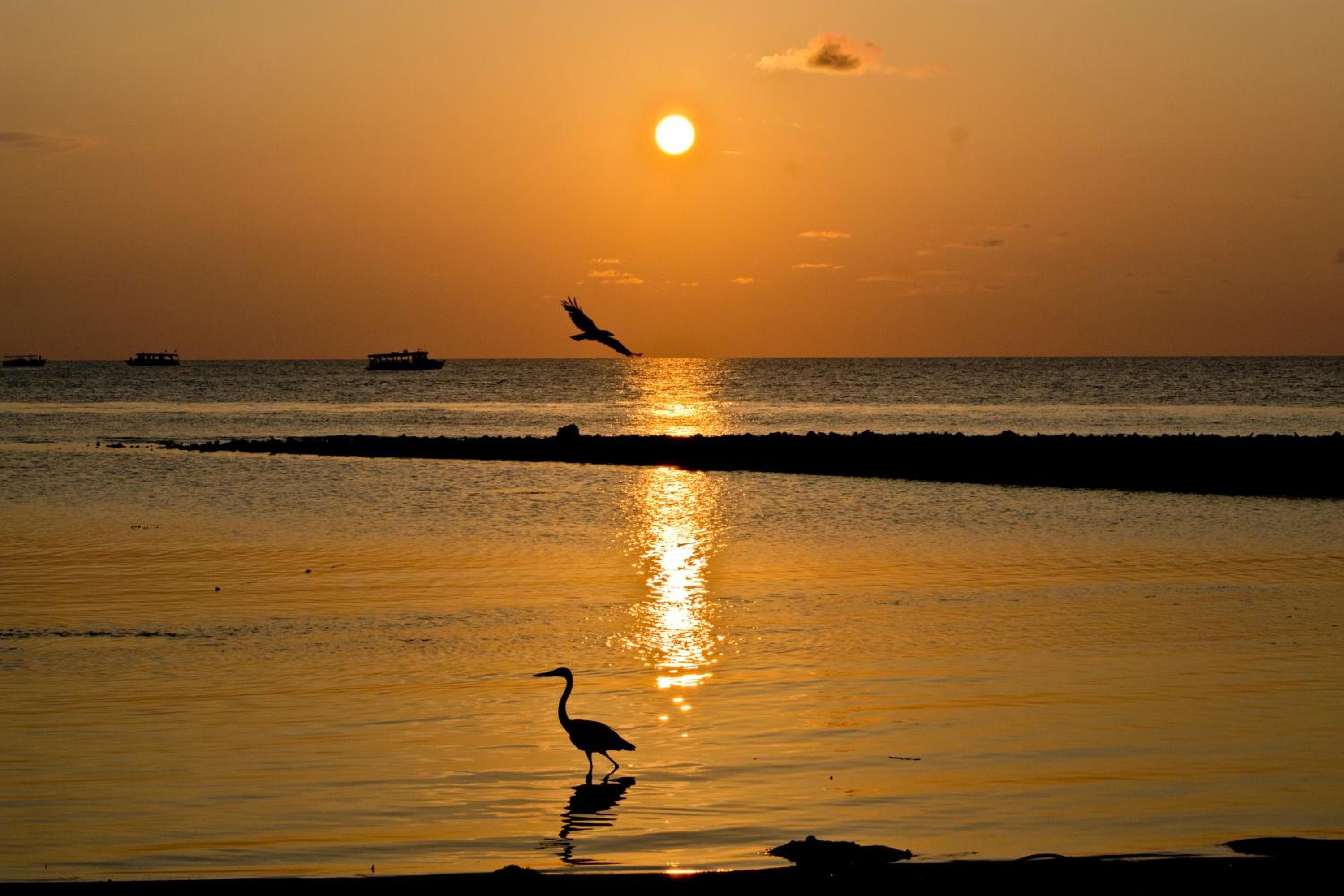 Ras Rana Lodge - View 156