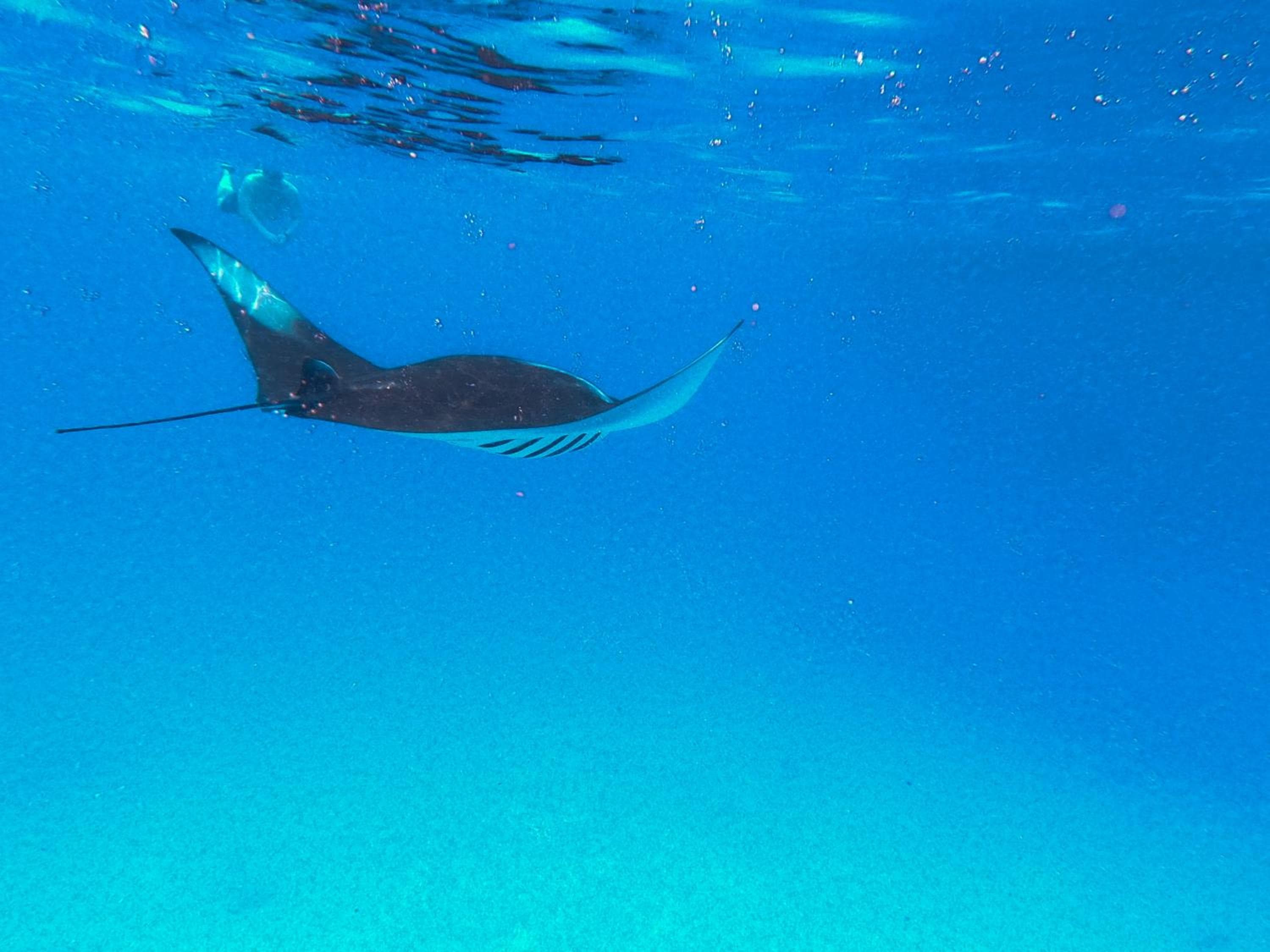 PERLA Dhangethi - View 170