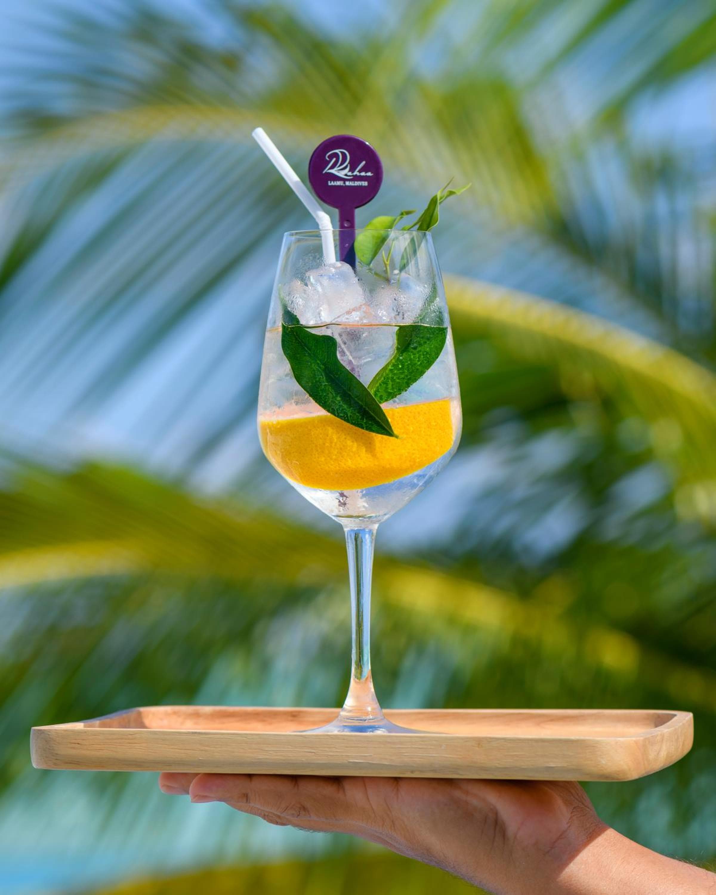 Rahaa Resort Maldives - View 68