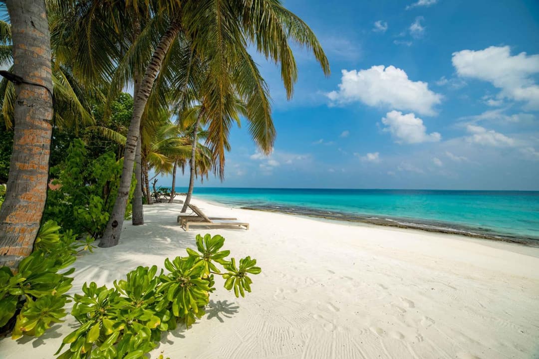 Fiyavalhu Resort Maldives - View 87