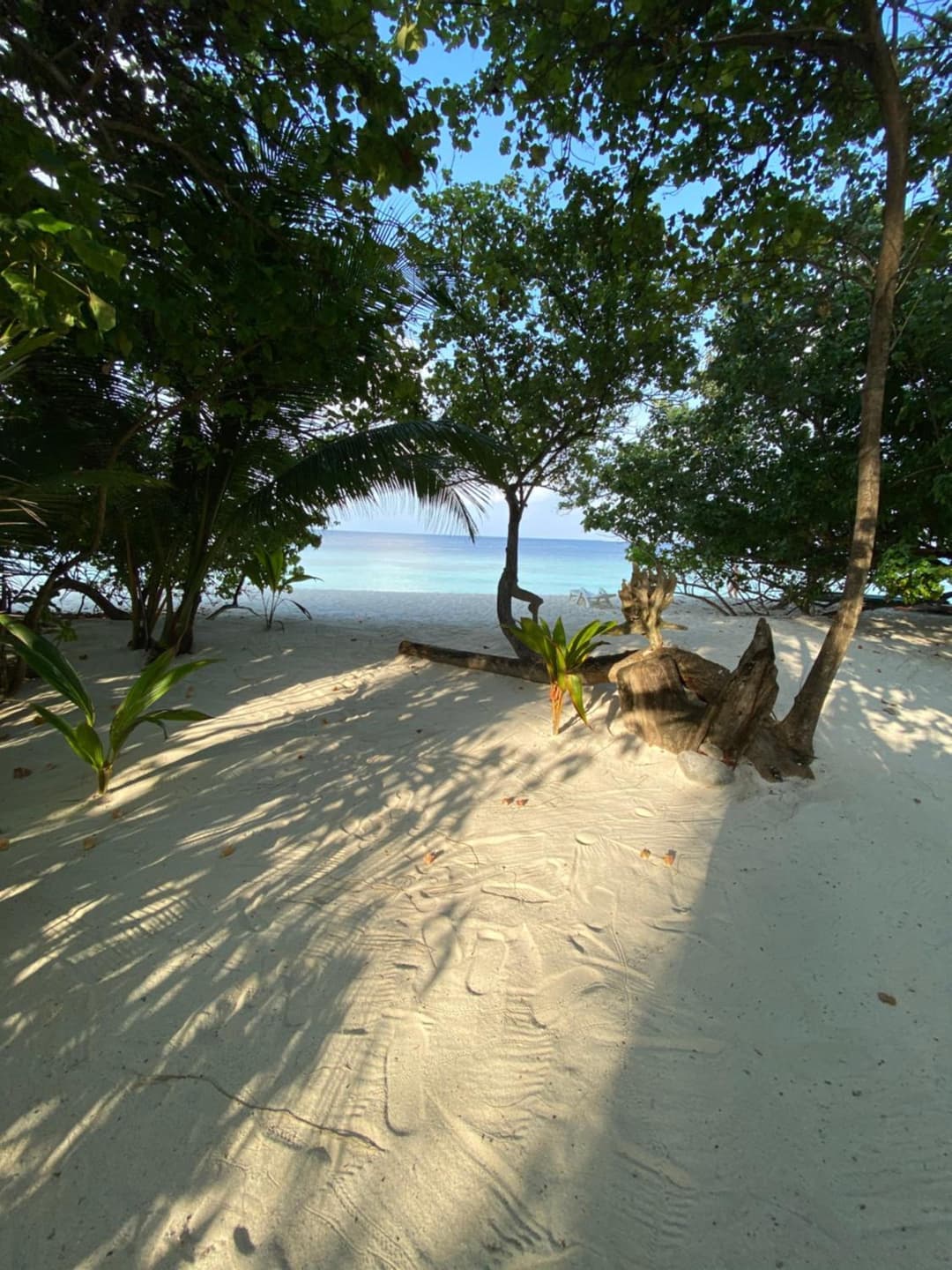 Beach Veli - View 37
