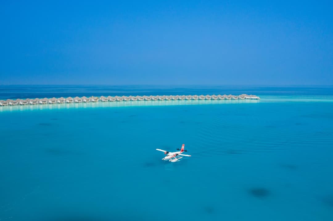 Finolhu, A Seaside Collection Resort, a Member of Design Hotels - View 101