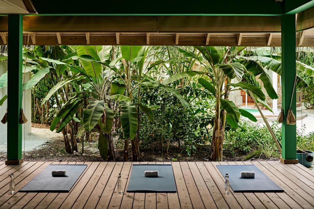 Finolhu, A Seaside Collection Resort, a Member of Design Hotels - View 77