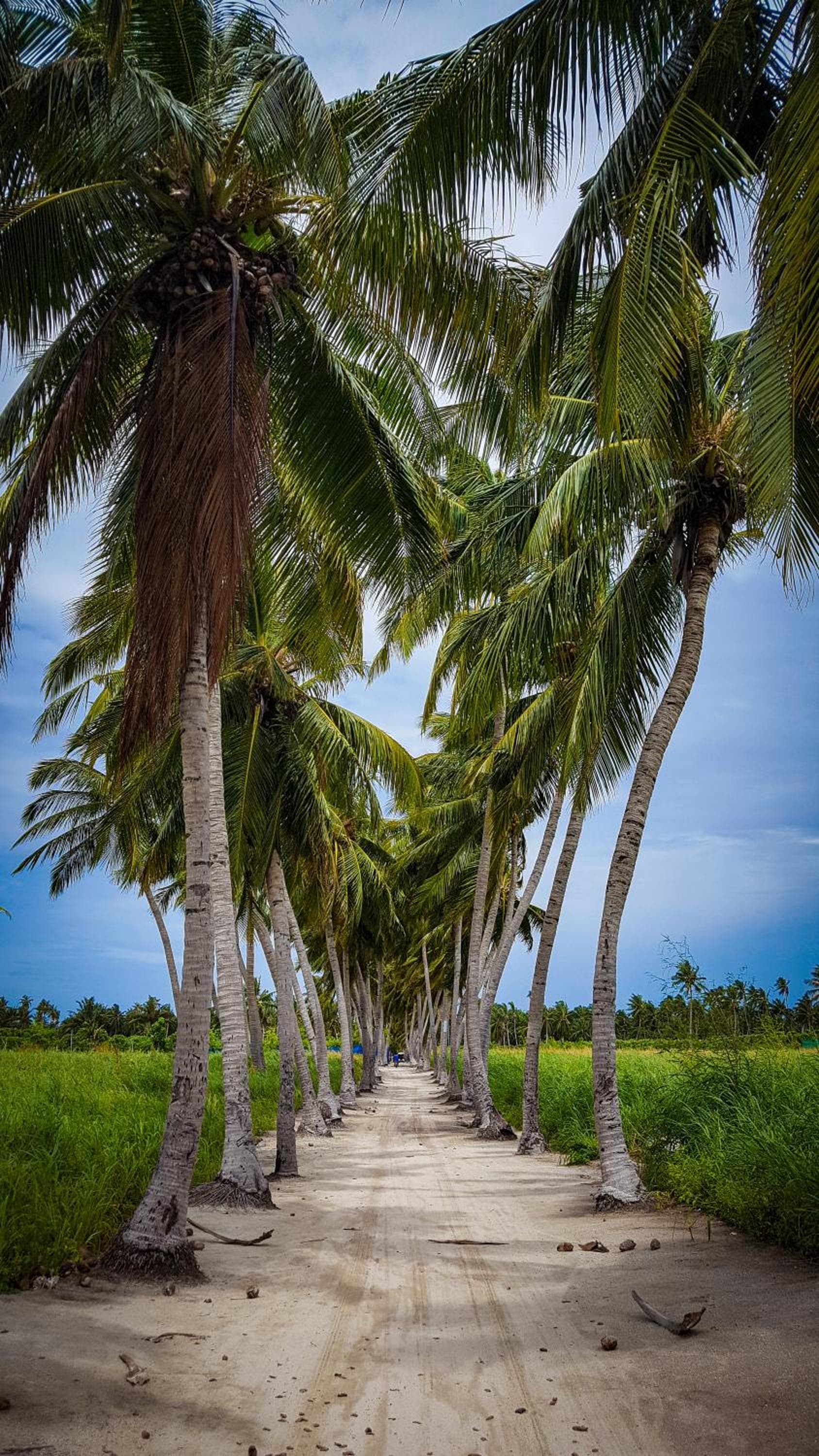 New Breeze Thoddoo Inn - View 40