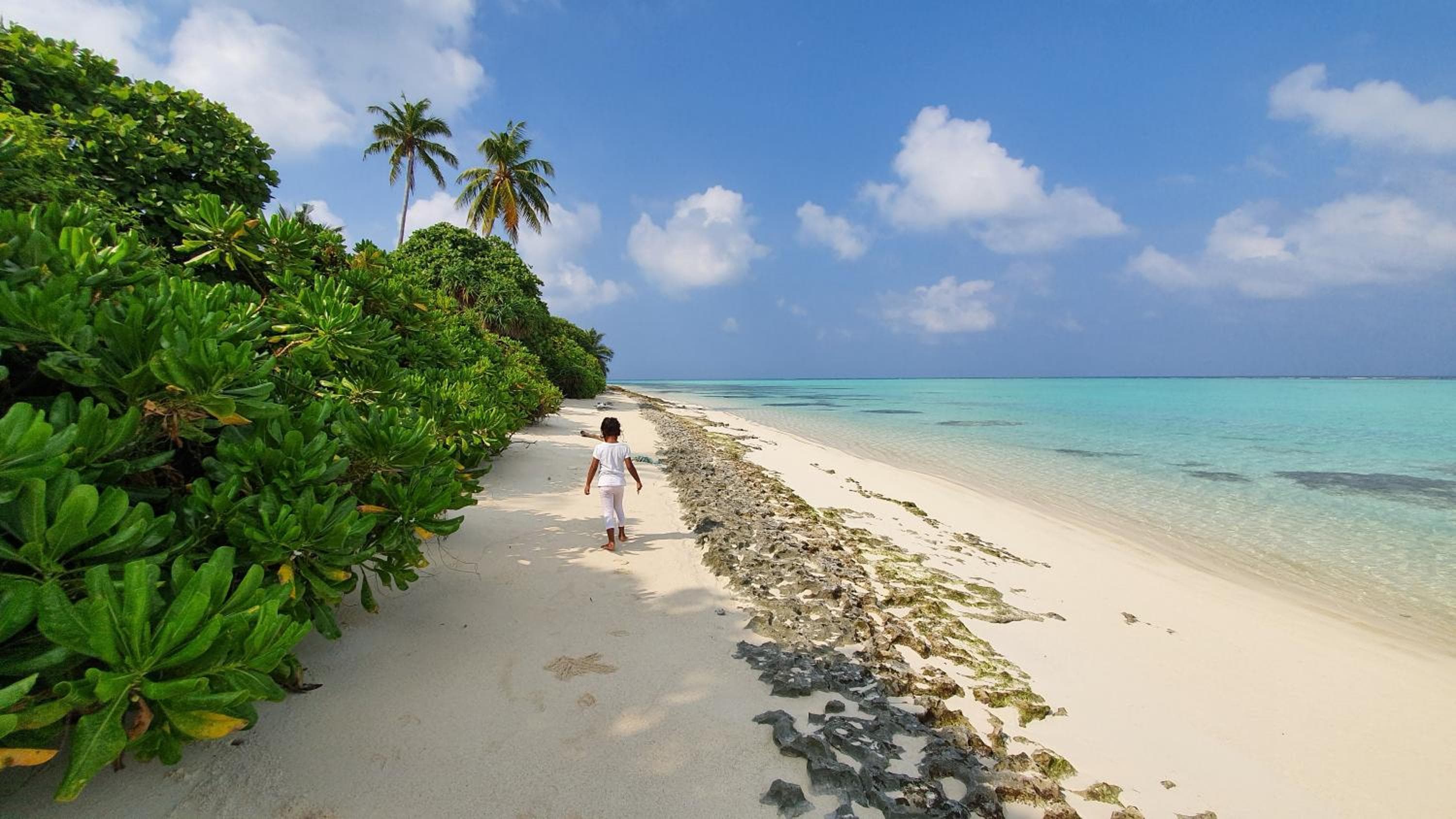 New Breeze Thoddoo Inn - View 44