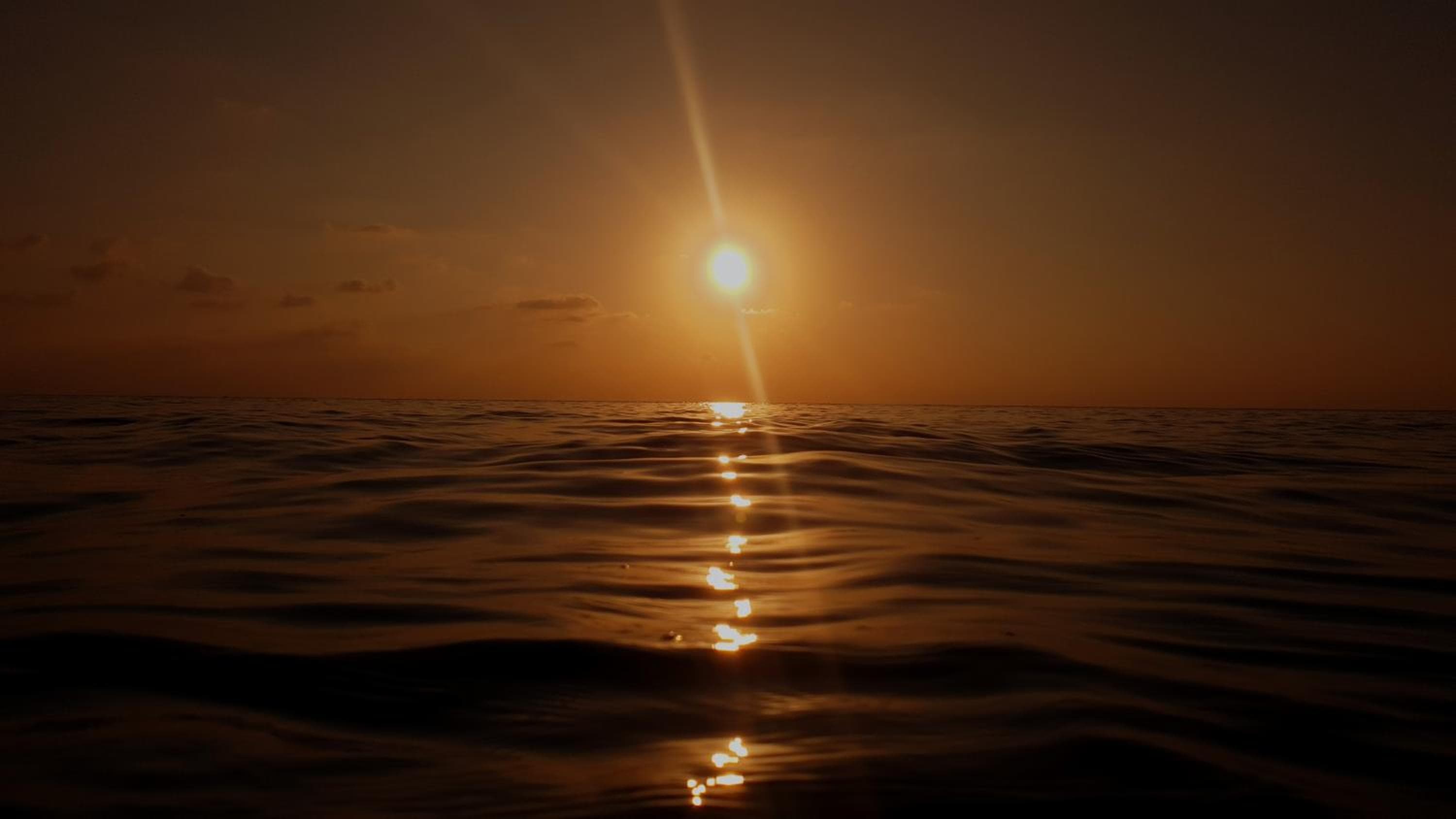 New Breeze Thoddoo Inn - View 46