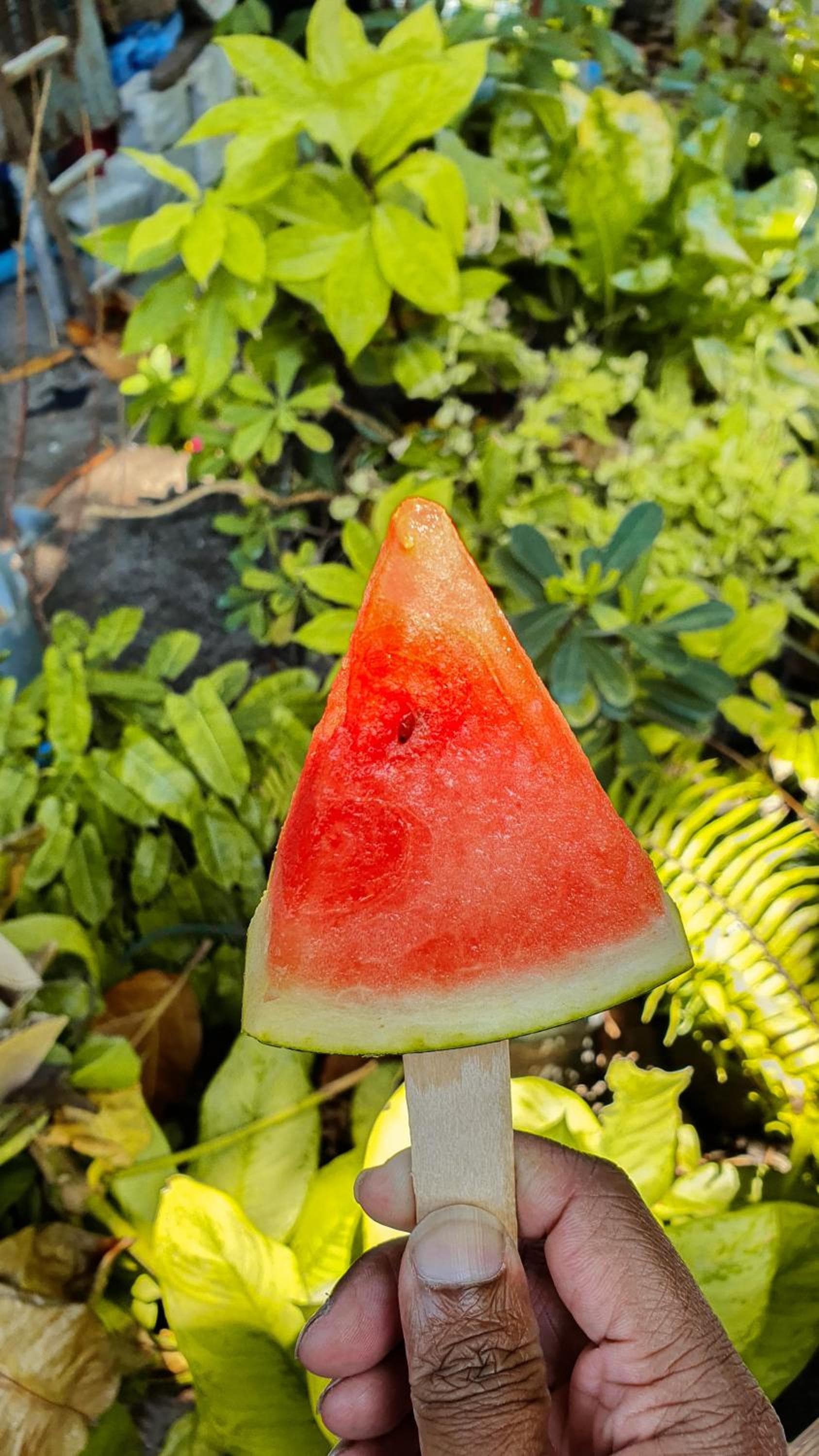 New Breeze Thoddoo Inn - View 49