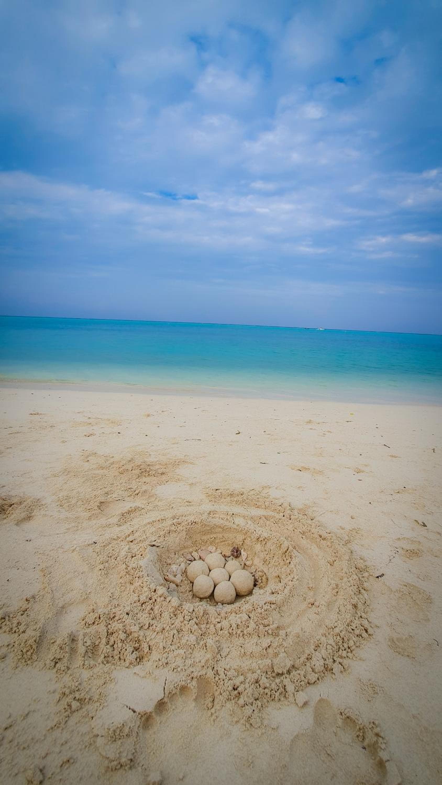 New Breeze Thoddoo Inn - View 50