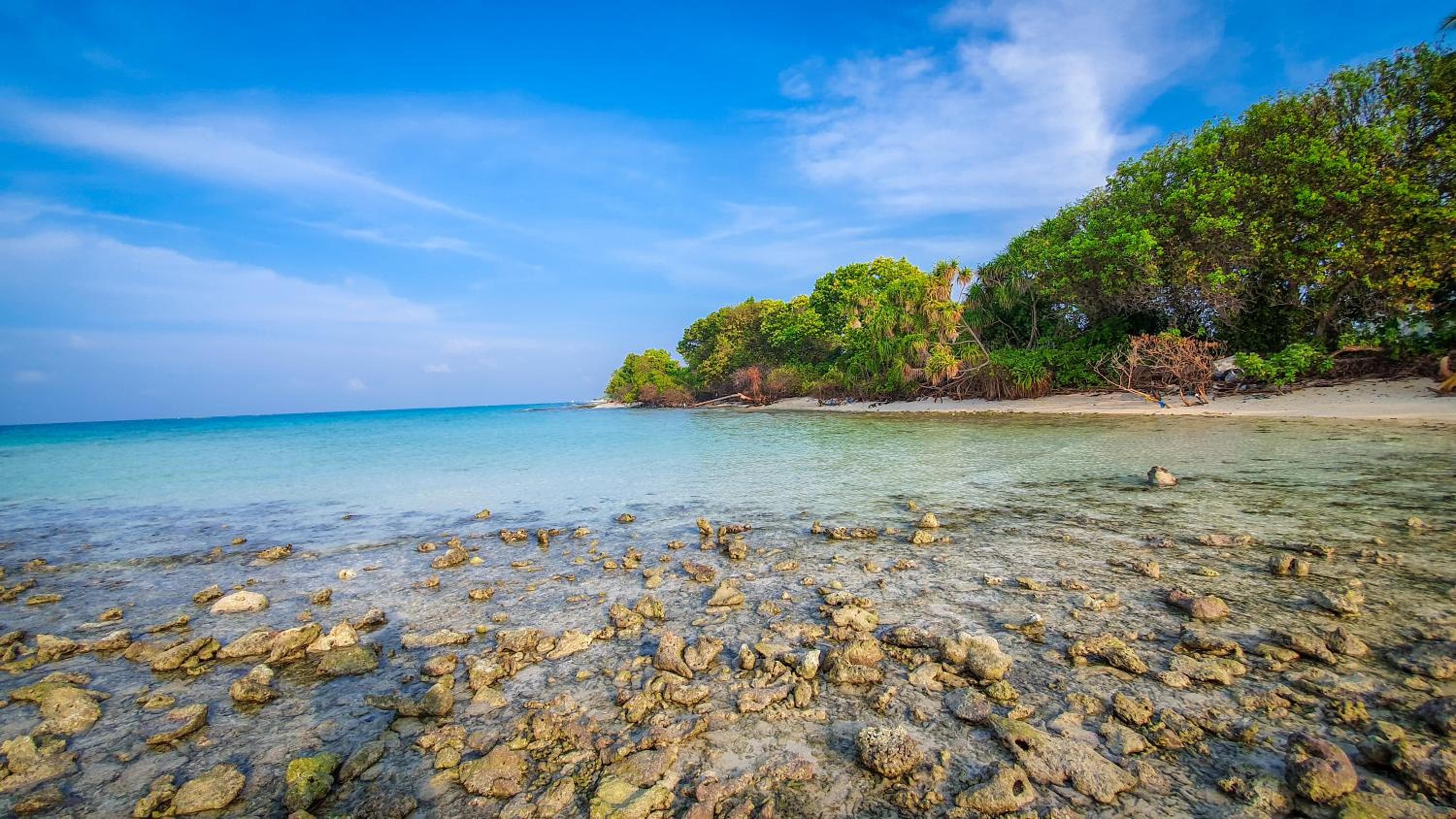 New Breeze Thoddoo Inn - View 53