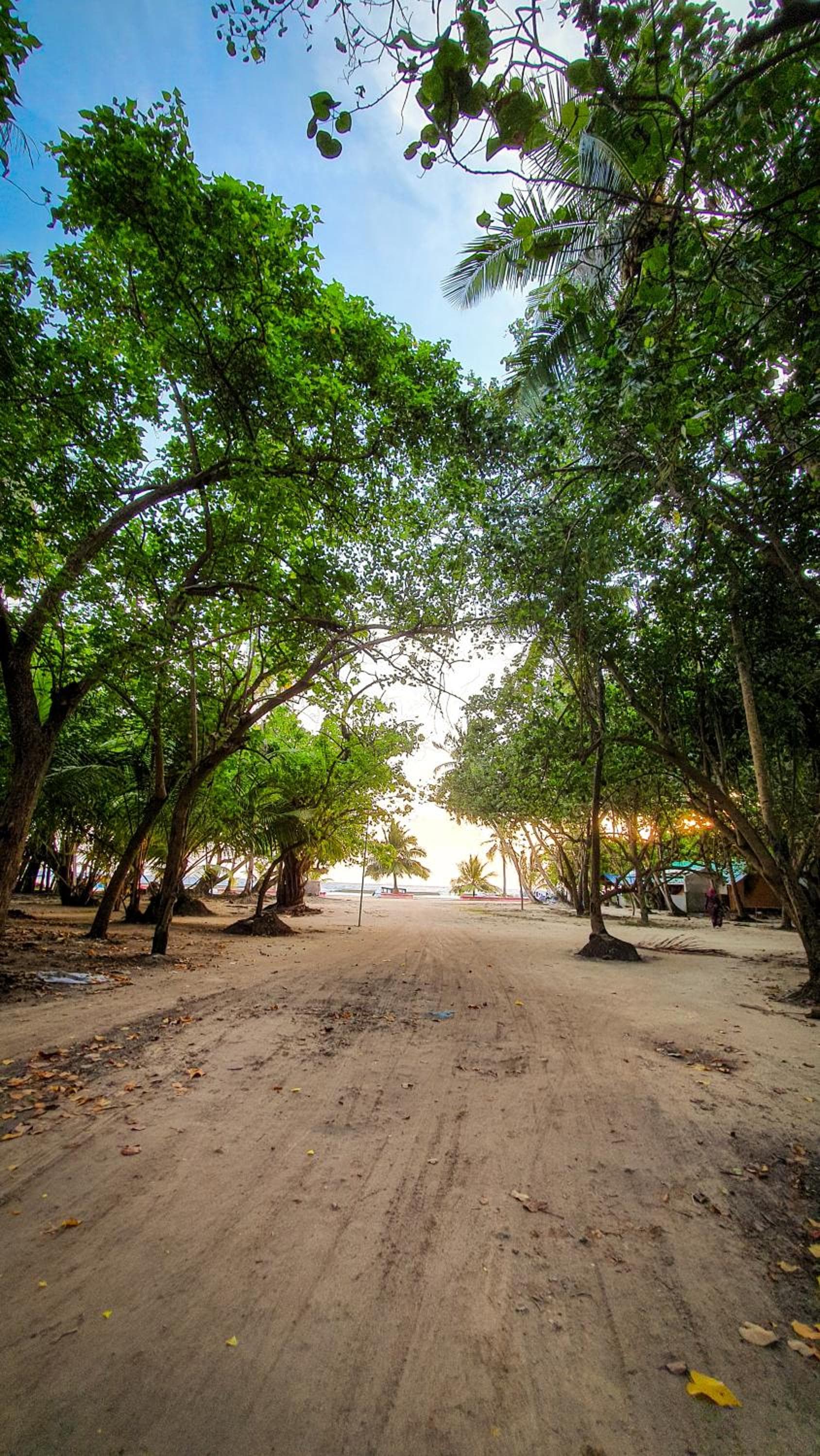 New Breeze Thoddoo Inn - View 54