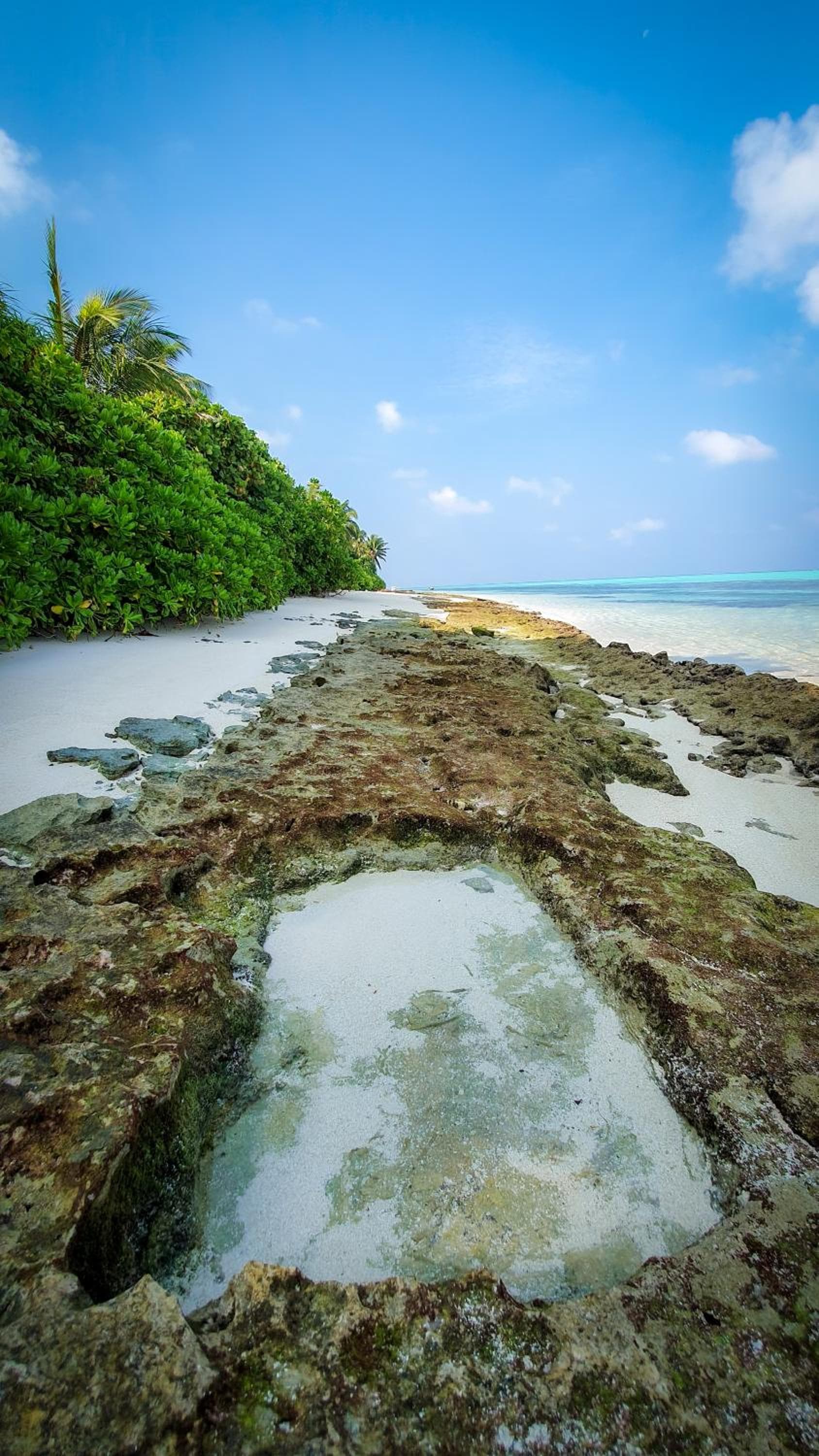 New Breeze Thoddoo Inn - View 57