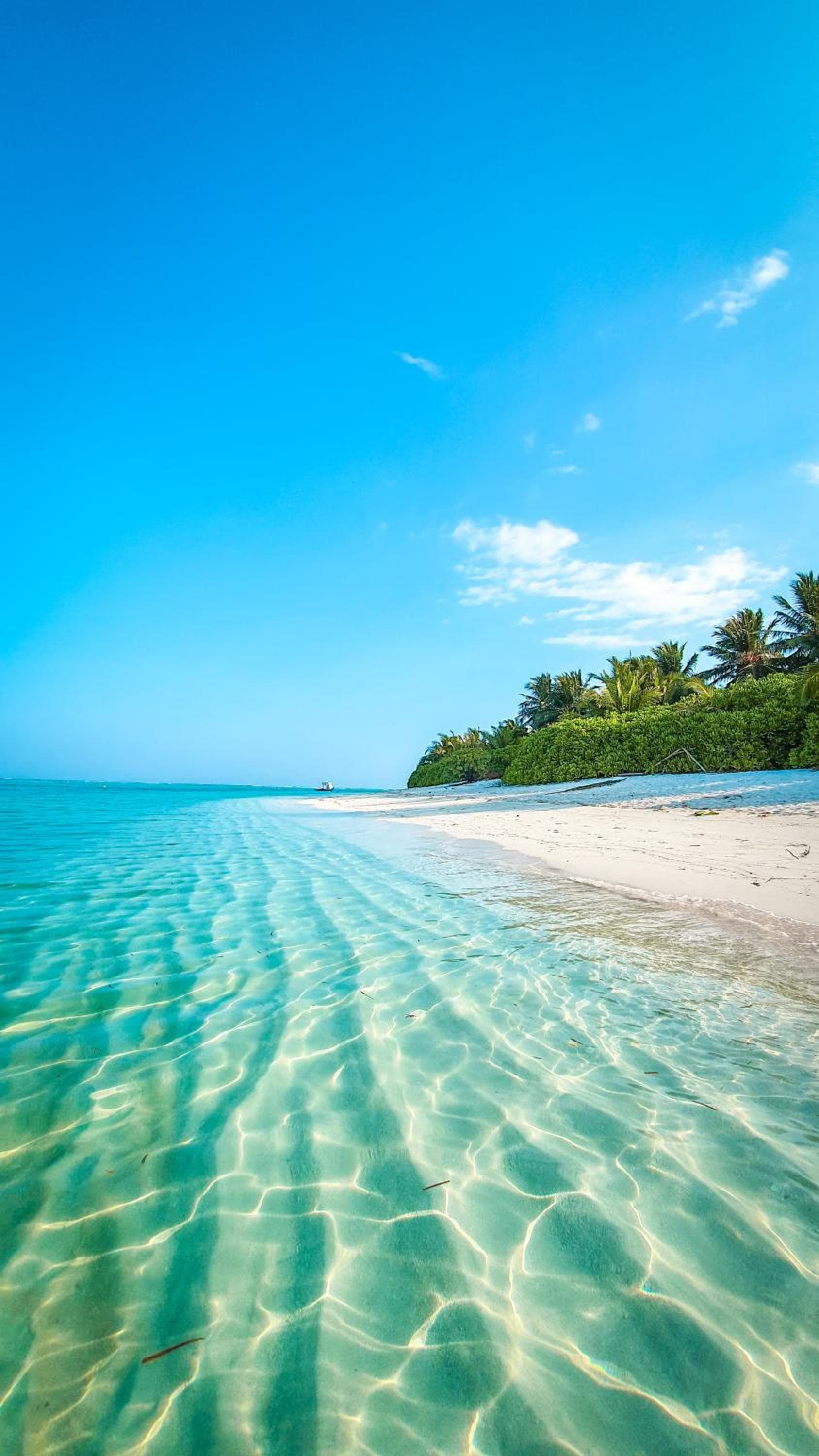 New Breeze Thoddoo Inn - View 58