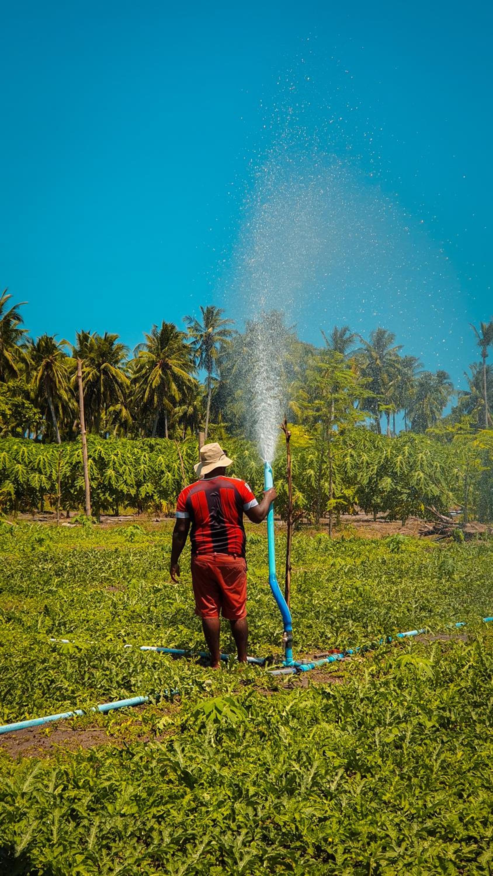 New Breeze Thoddoo Inn - View 60