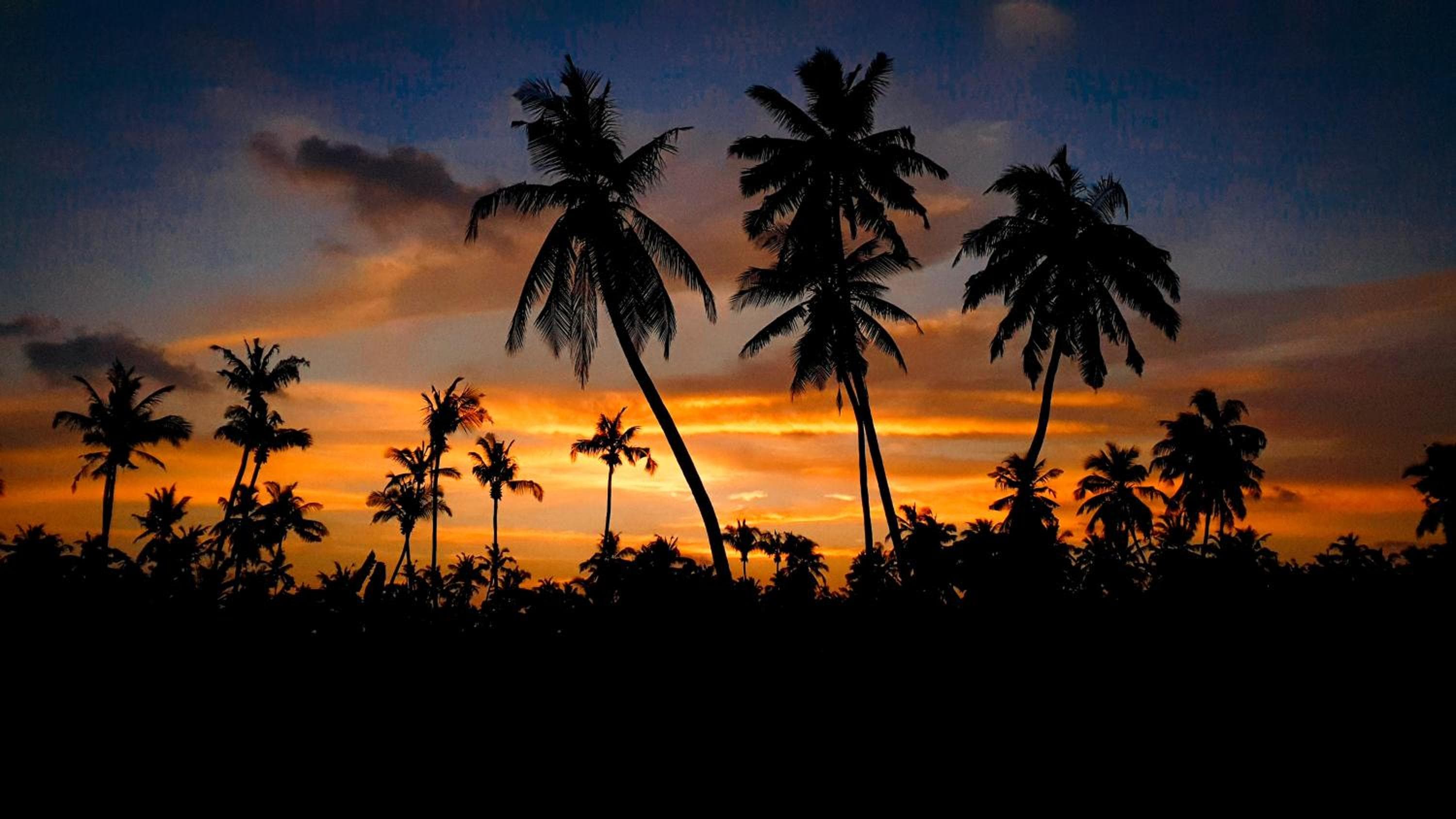 New Breeze Thoddoo Inn - View 62